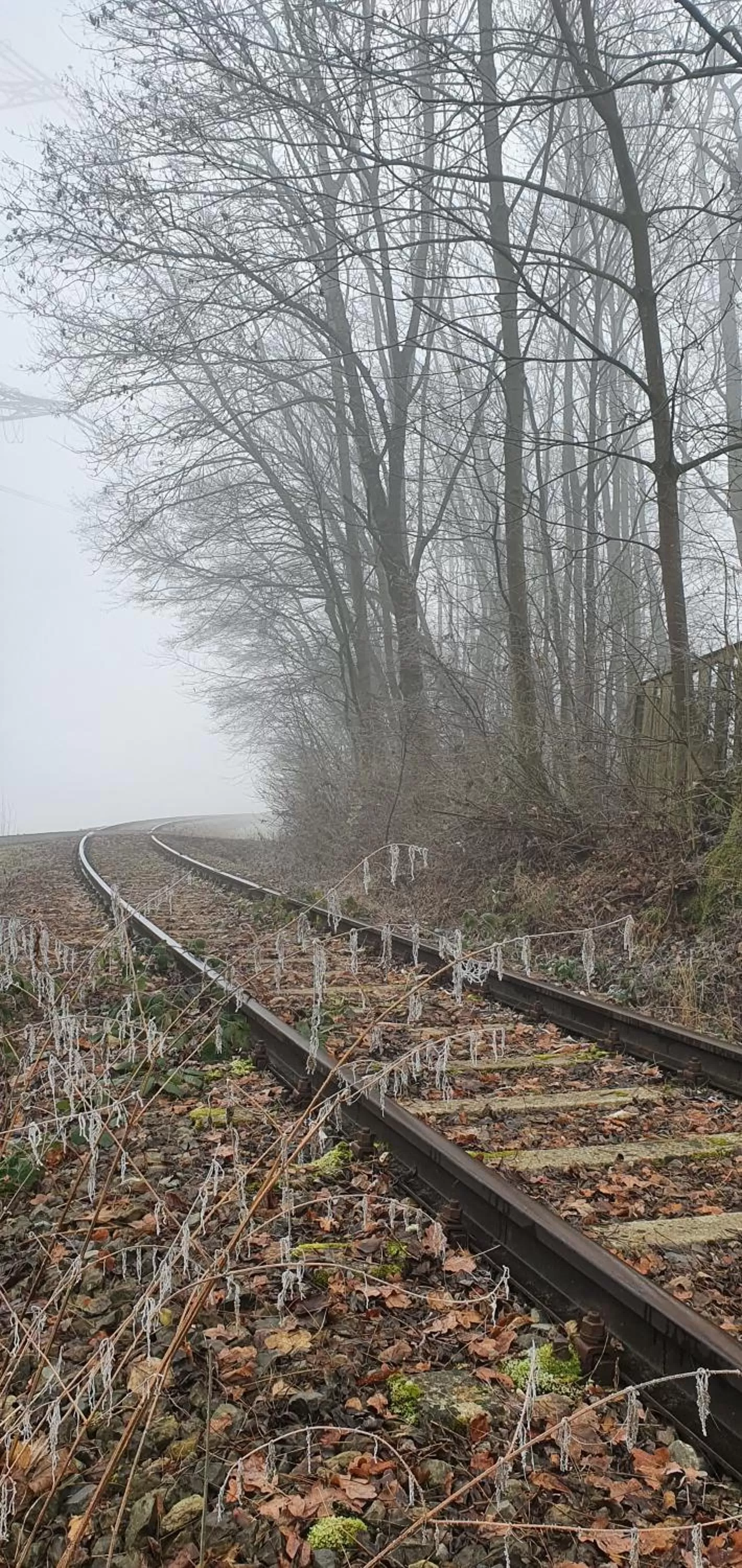 Staff in Boutique-Hotel Kronenstuben