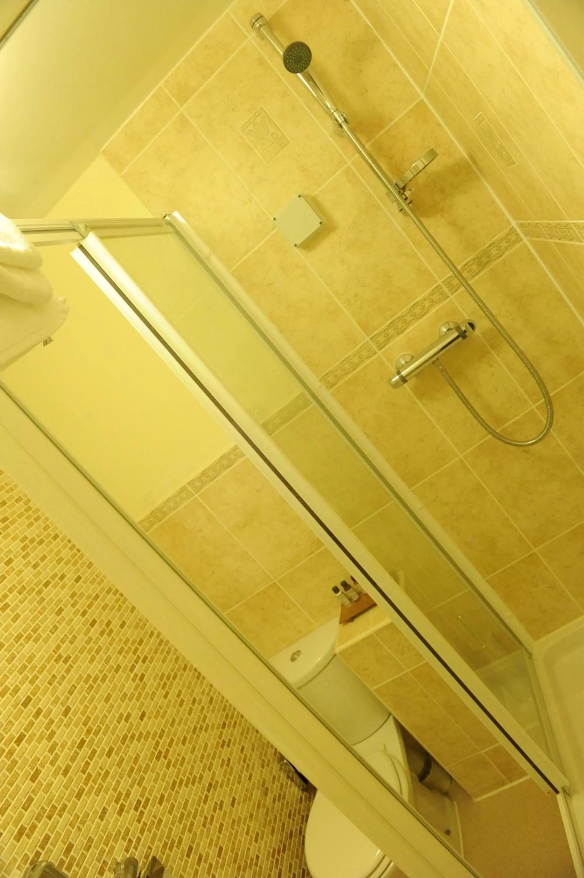 Shower in A Park View Hotel
