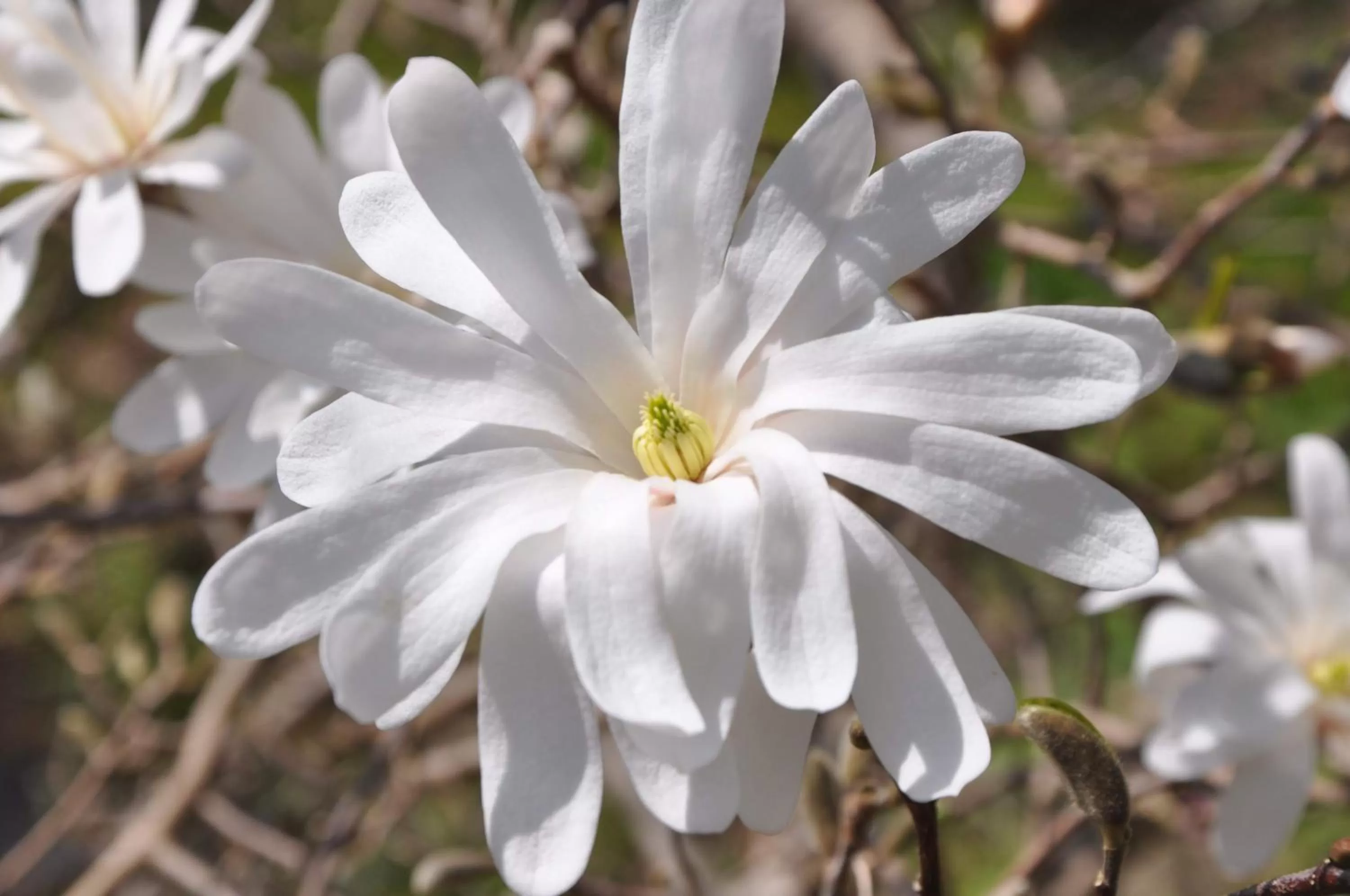 Garden view in Bed and Breakfast Bavaria München