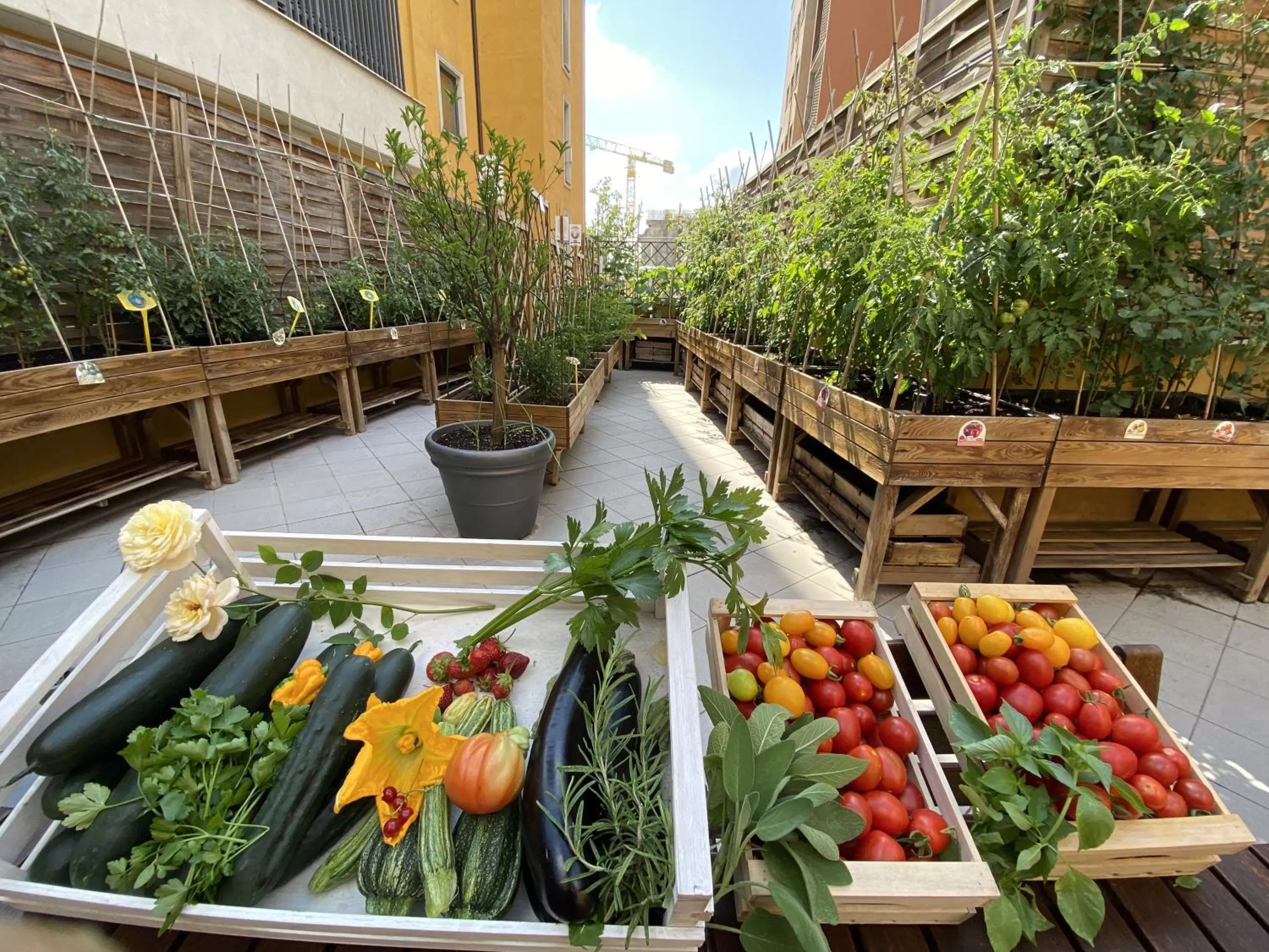 Garden in Trilussa Palace Hotel Congress & Spa