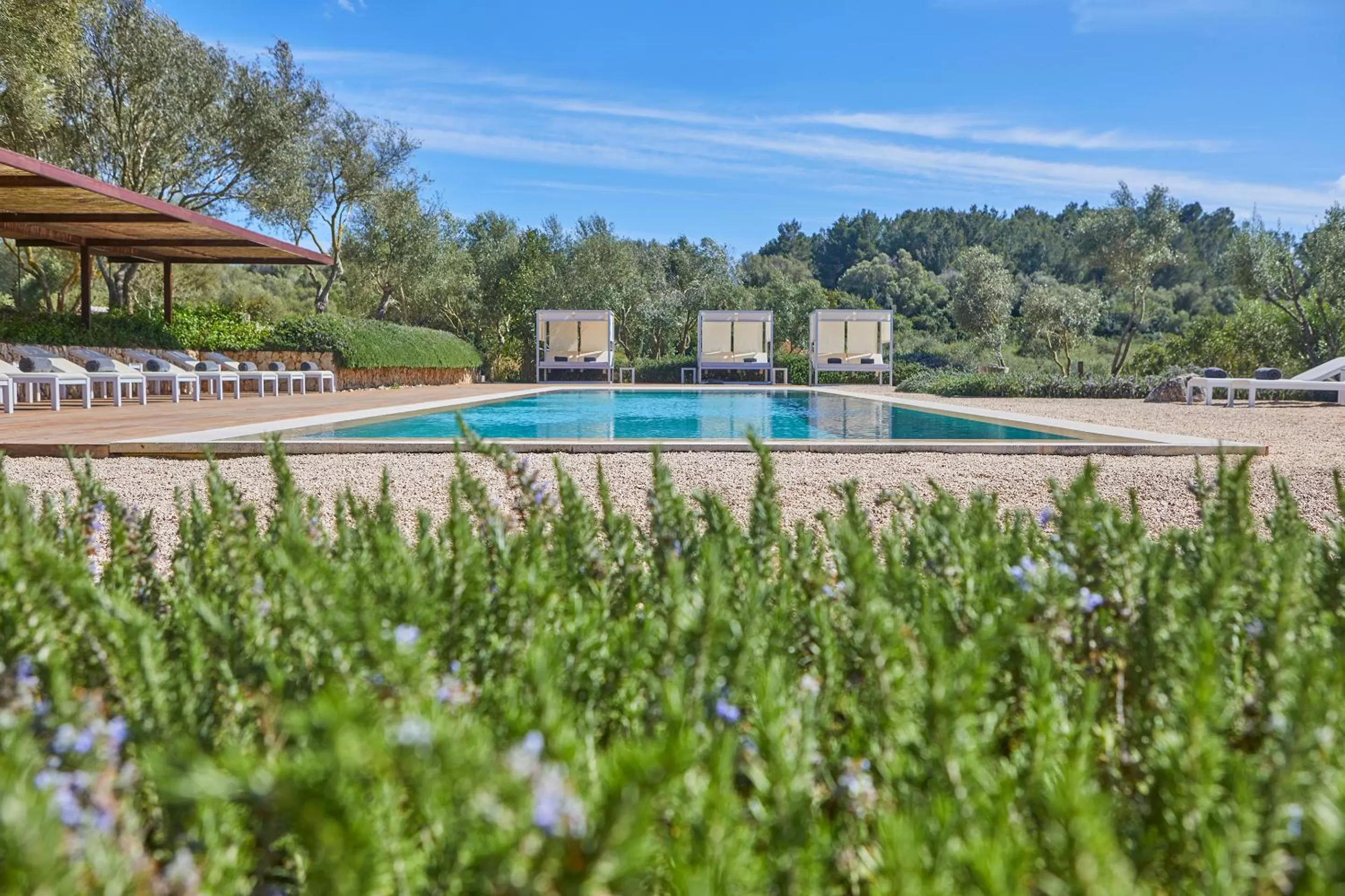 Swimming pool in Son Penya Adults Only Petit Hotel & Spa