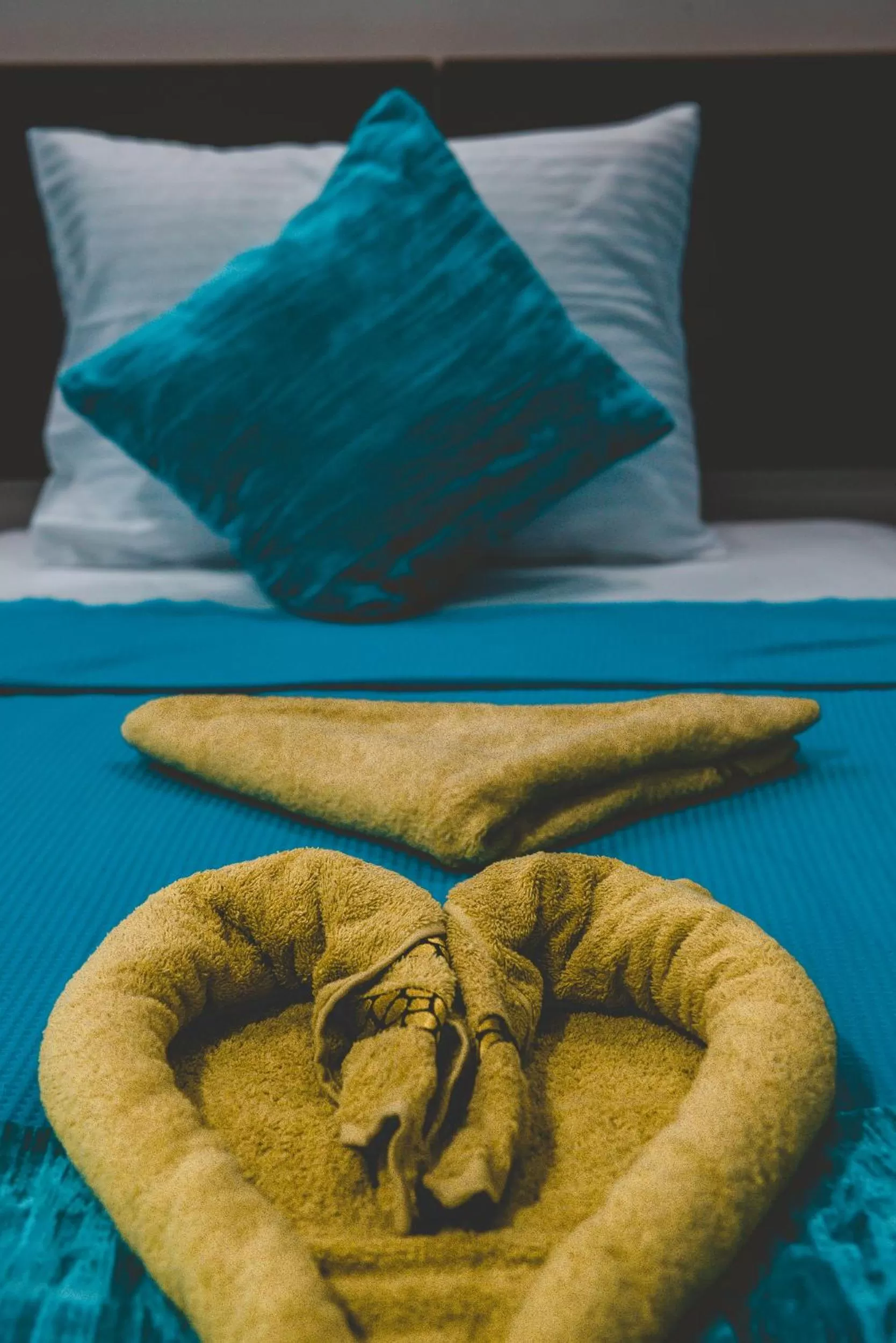 Decorative detail, Bed in Seaview Panorama Boatel