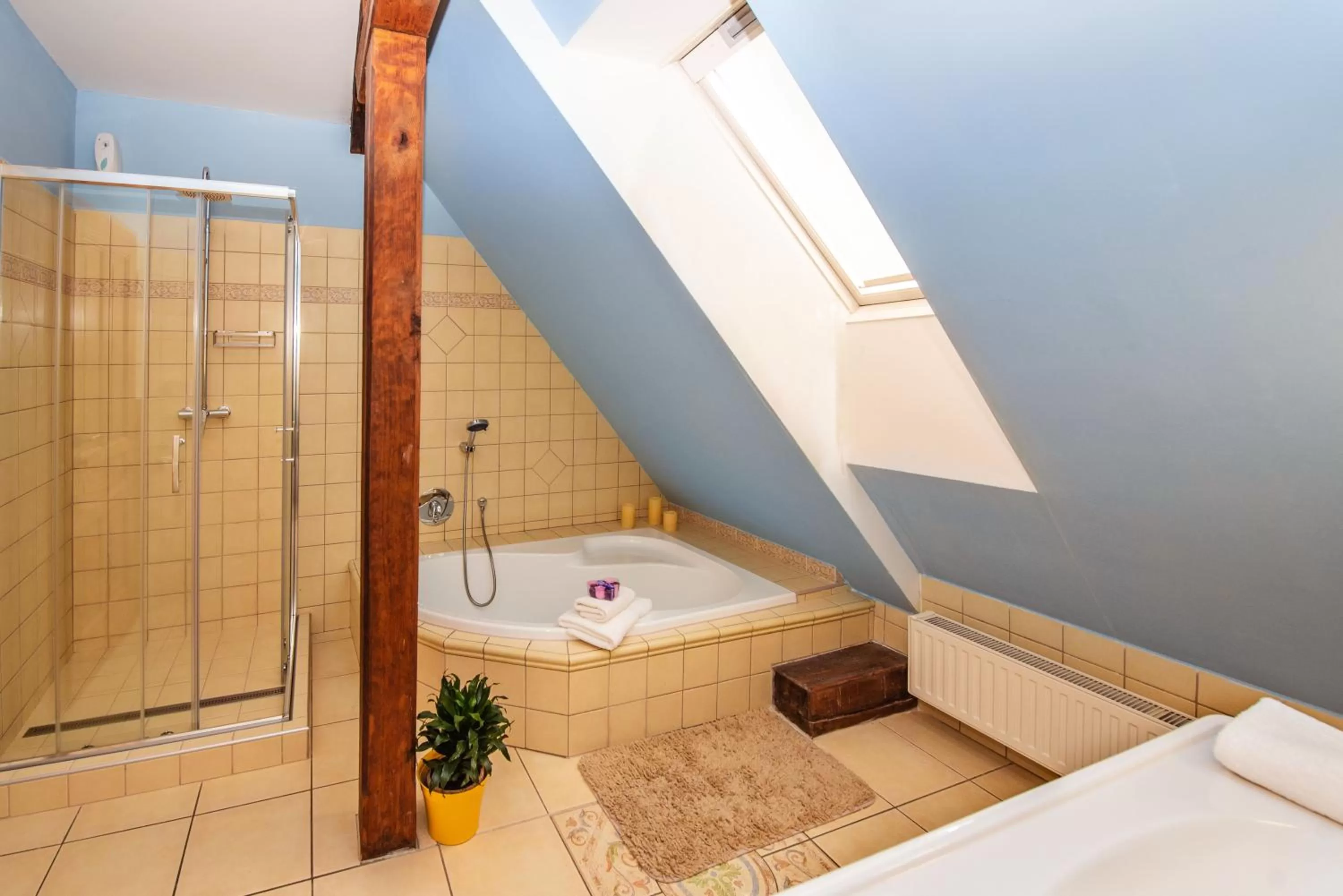 Bathroom in Ubytování u BÍLÉ PANÍ