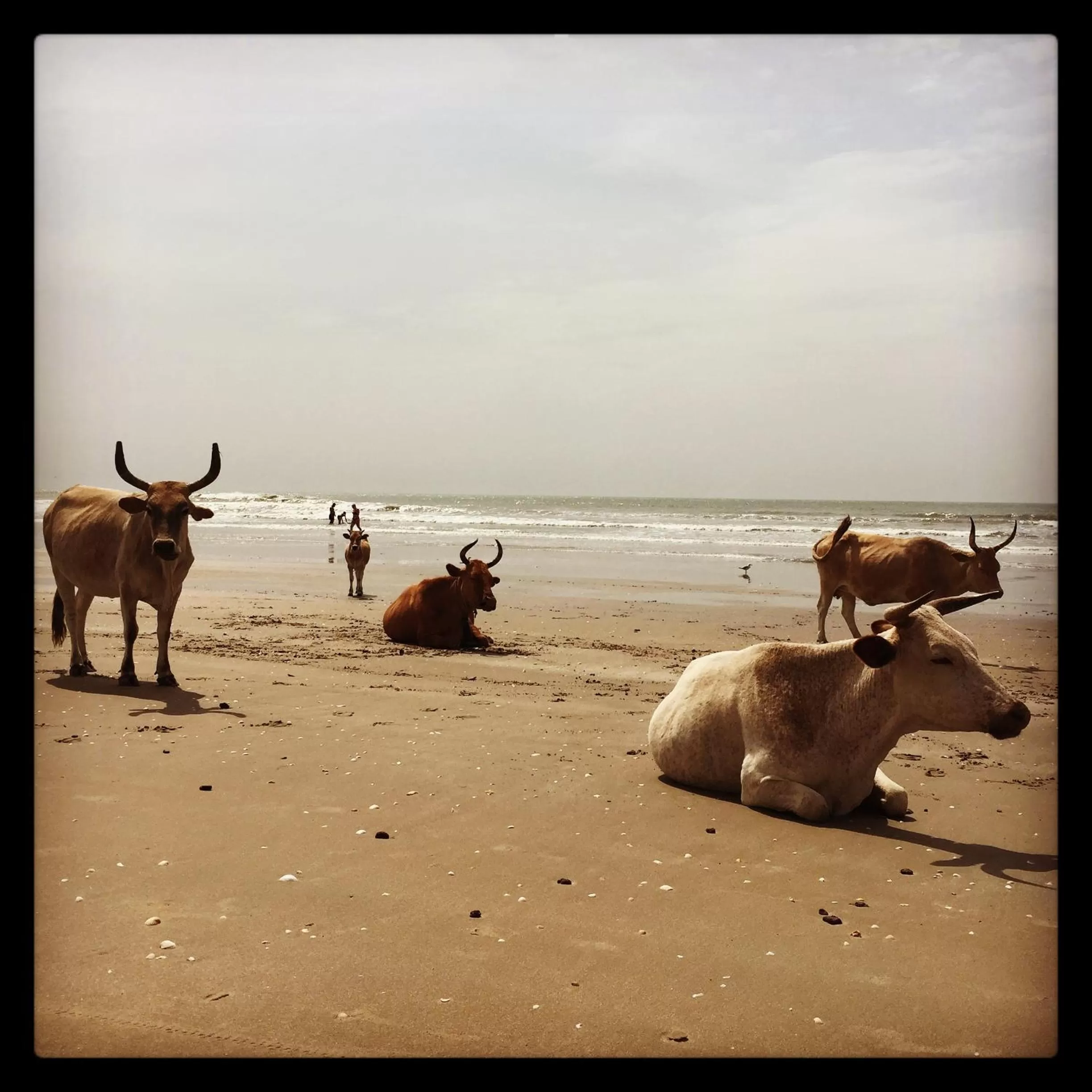 Sea view in Nemasu Eco-lodge