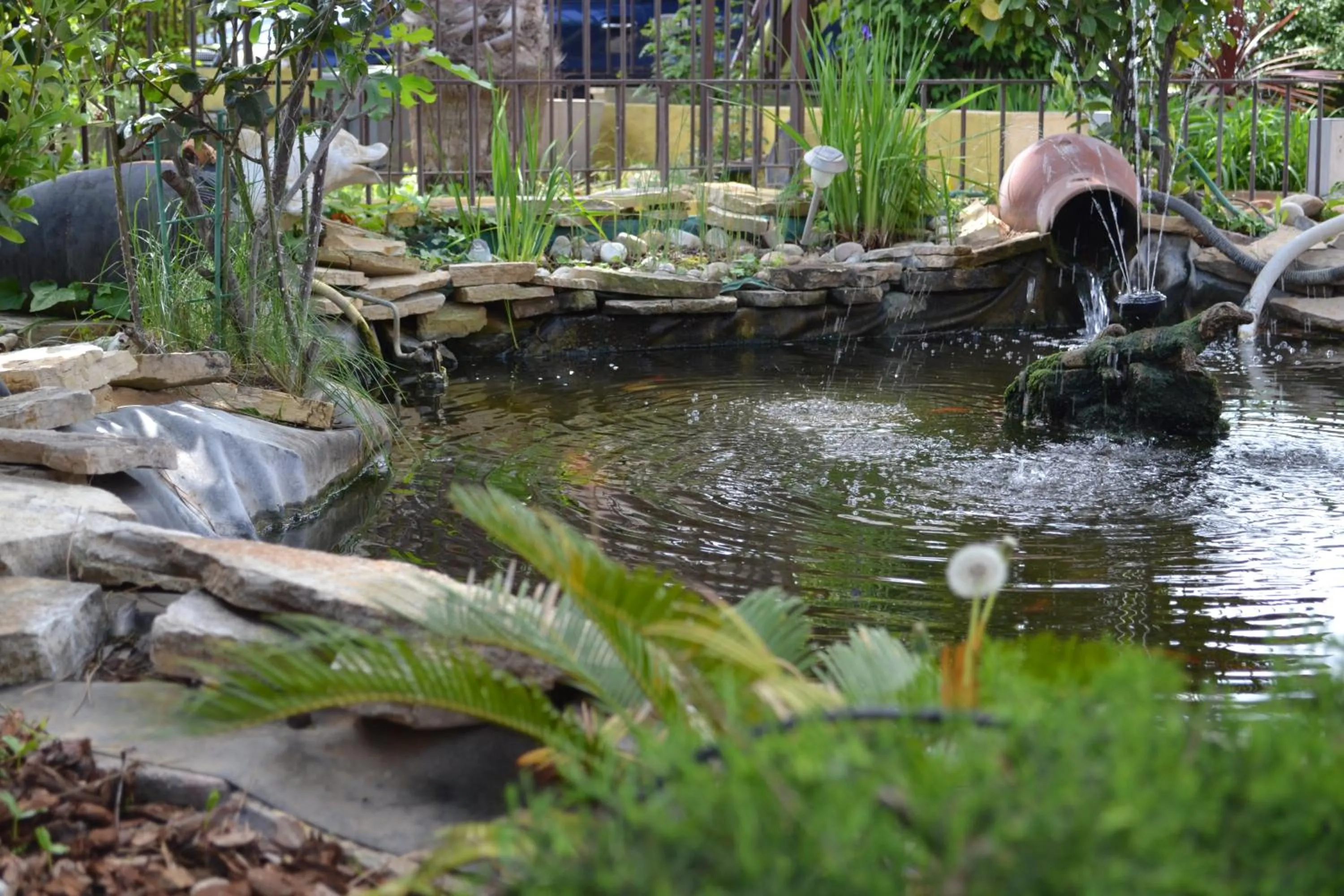 View (from property/room) in Hôtel restaurant Mon Auberge