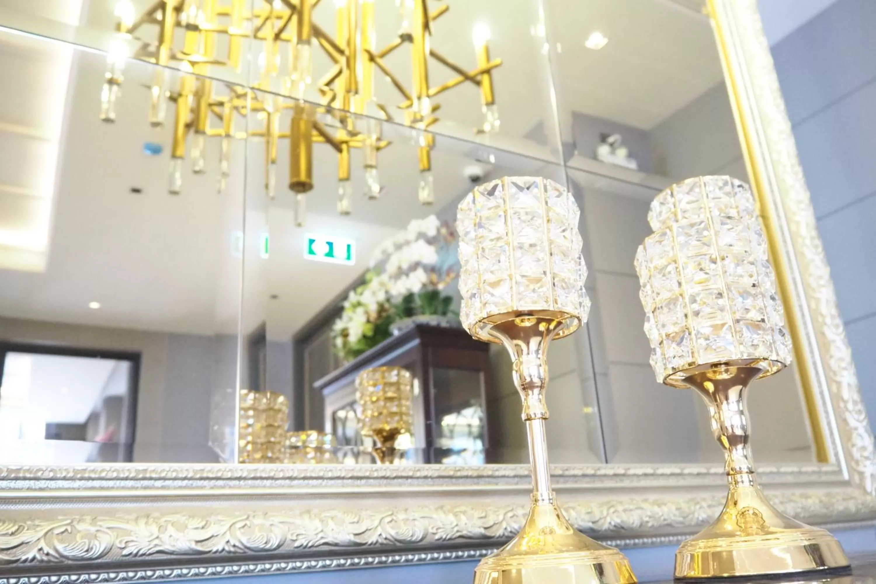 Other in SN Connx - SHA Plus