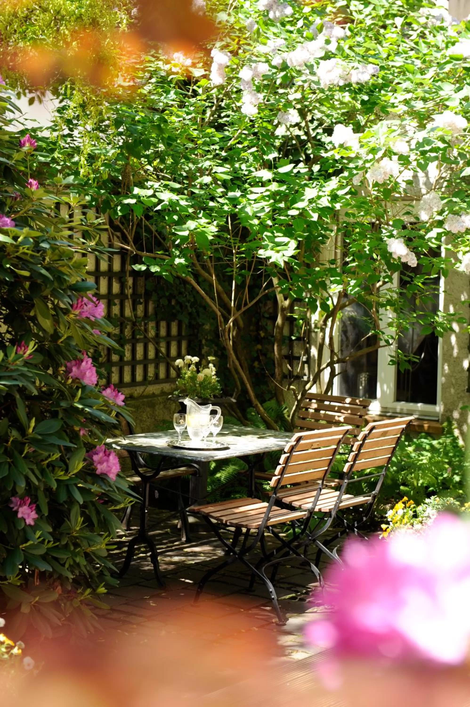 Garden in Boutique Hotel Splendid