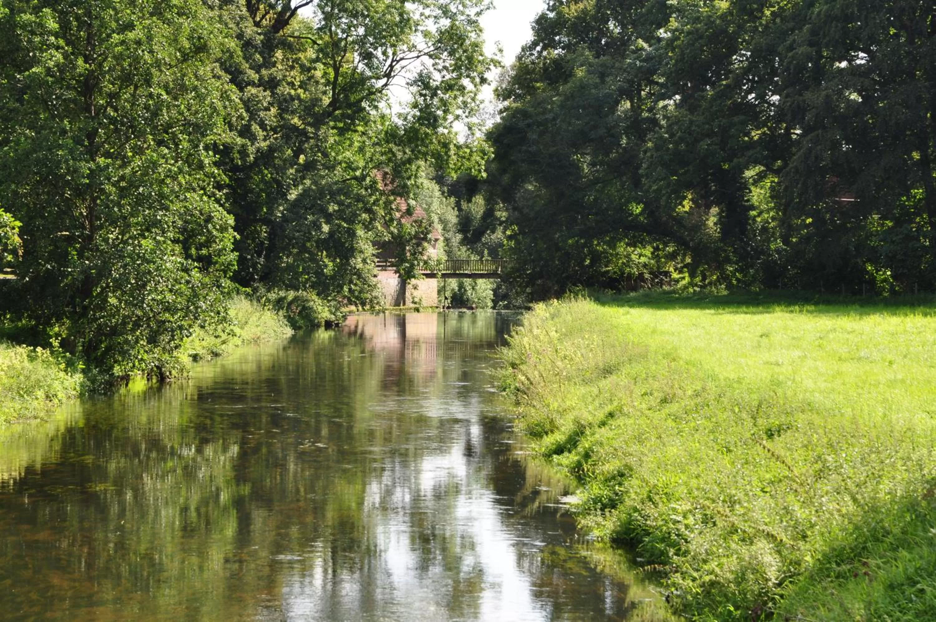 Area and facilities in Hotel zur Bever