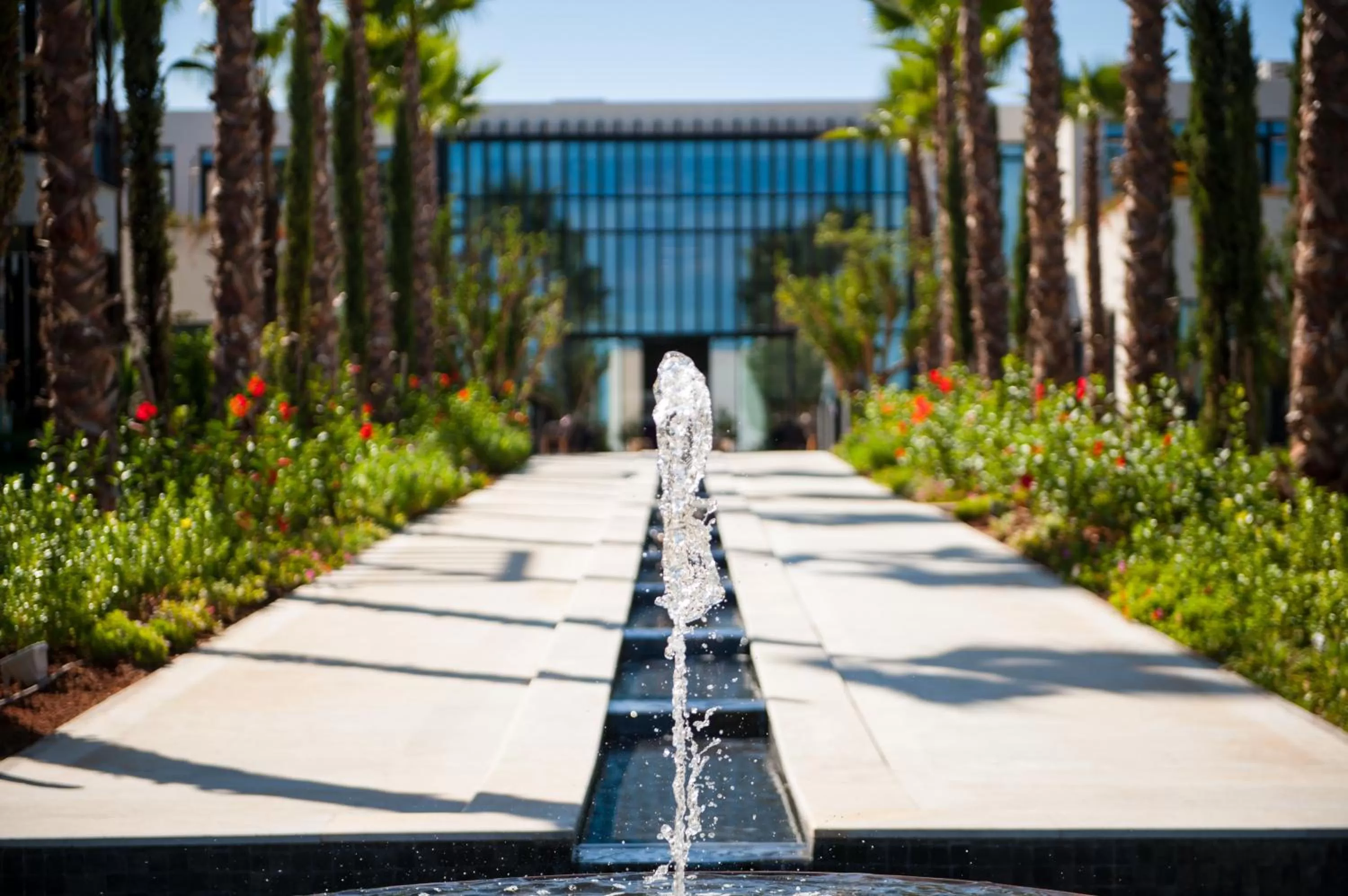 Garden in STORY Rabat
