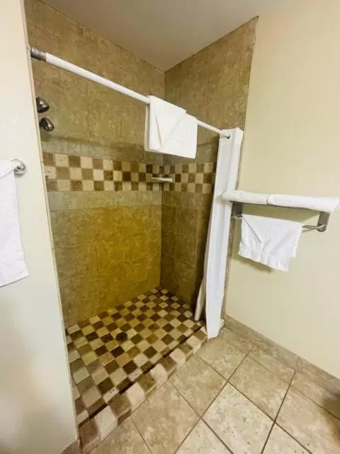 Shower in Comfort Inn Hebron-Lowell Area