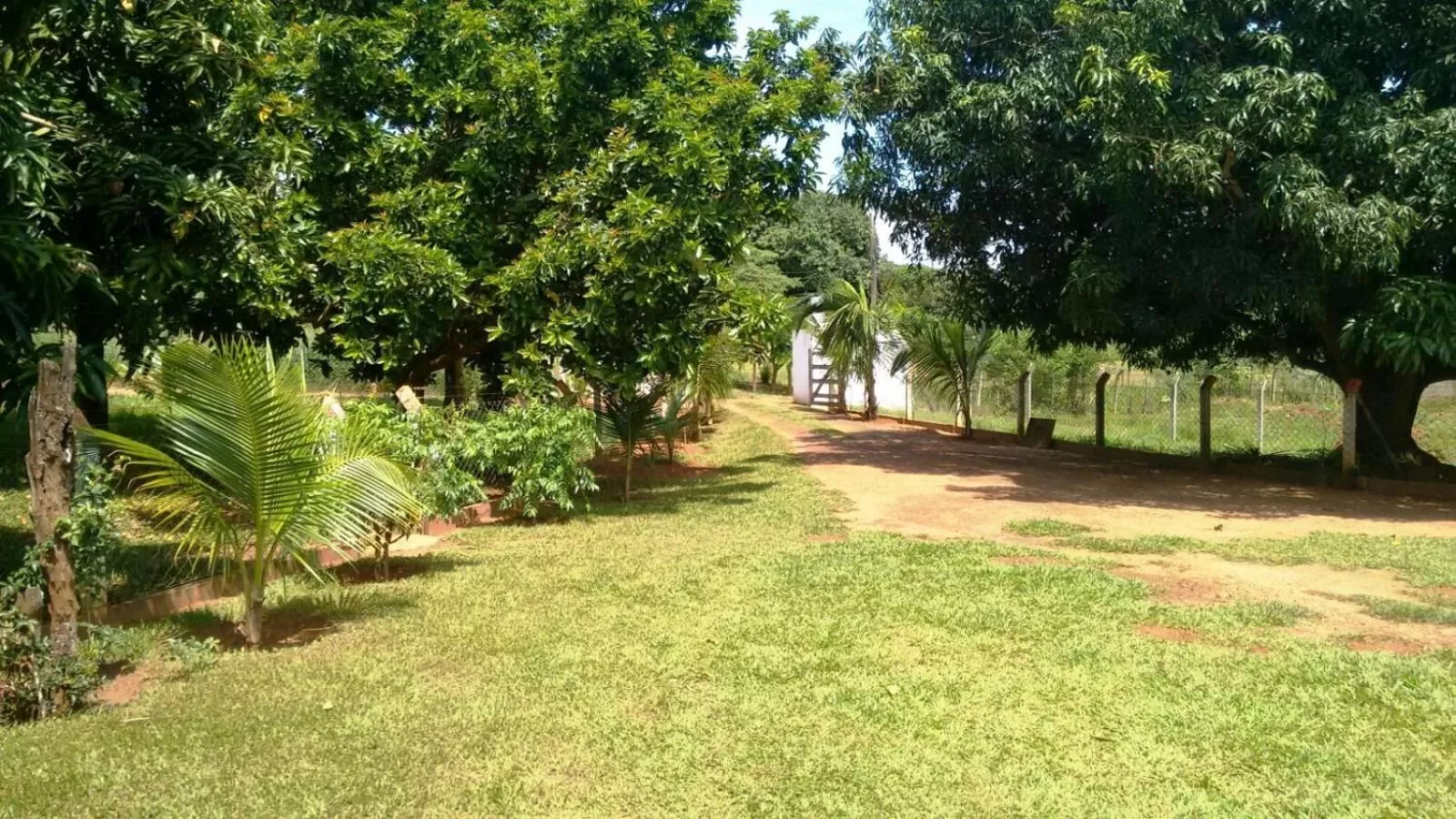 Garden view in Pousada Sorocabana