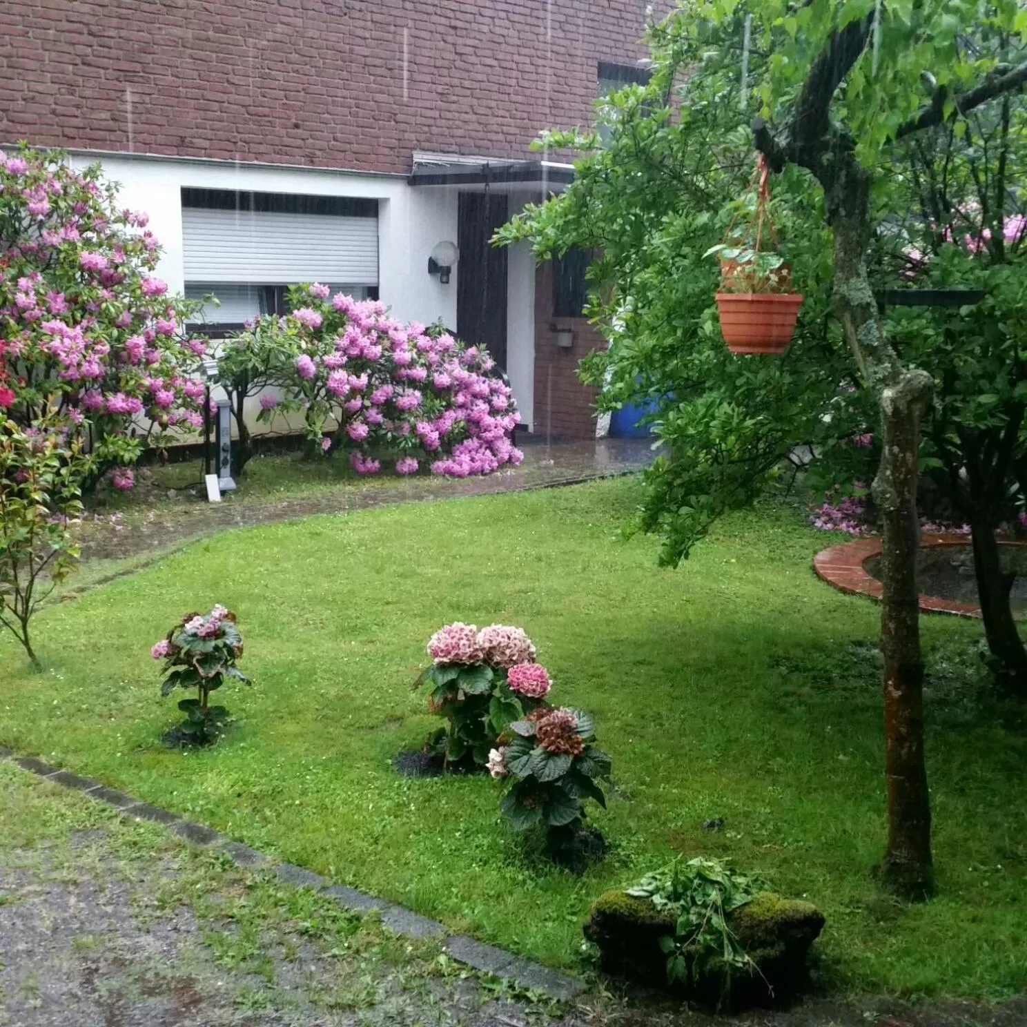 Garden in Am Hallenbad Hotel garni