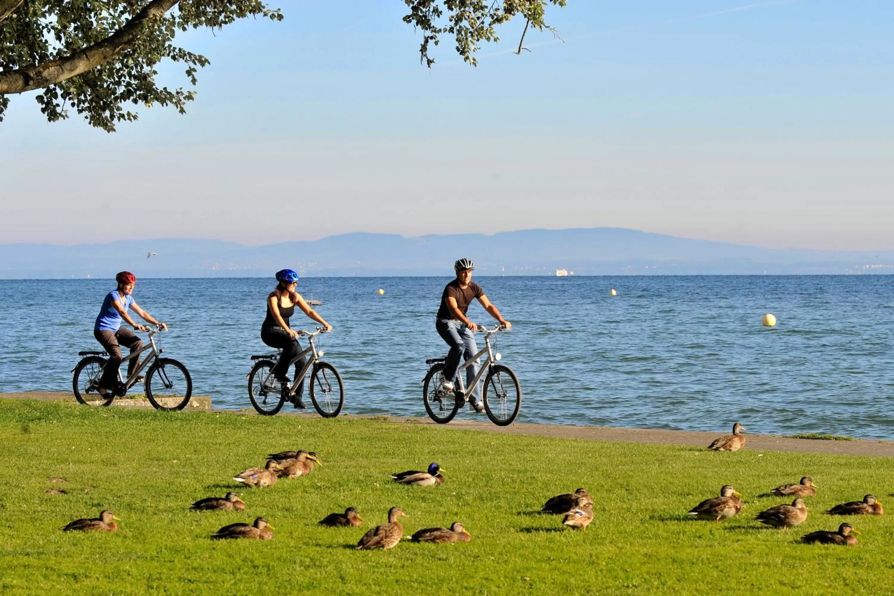 Cycling in Hotel de Charme Römerhof