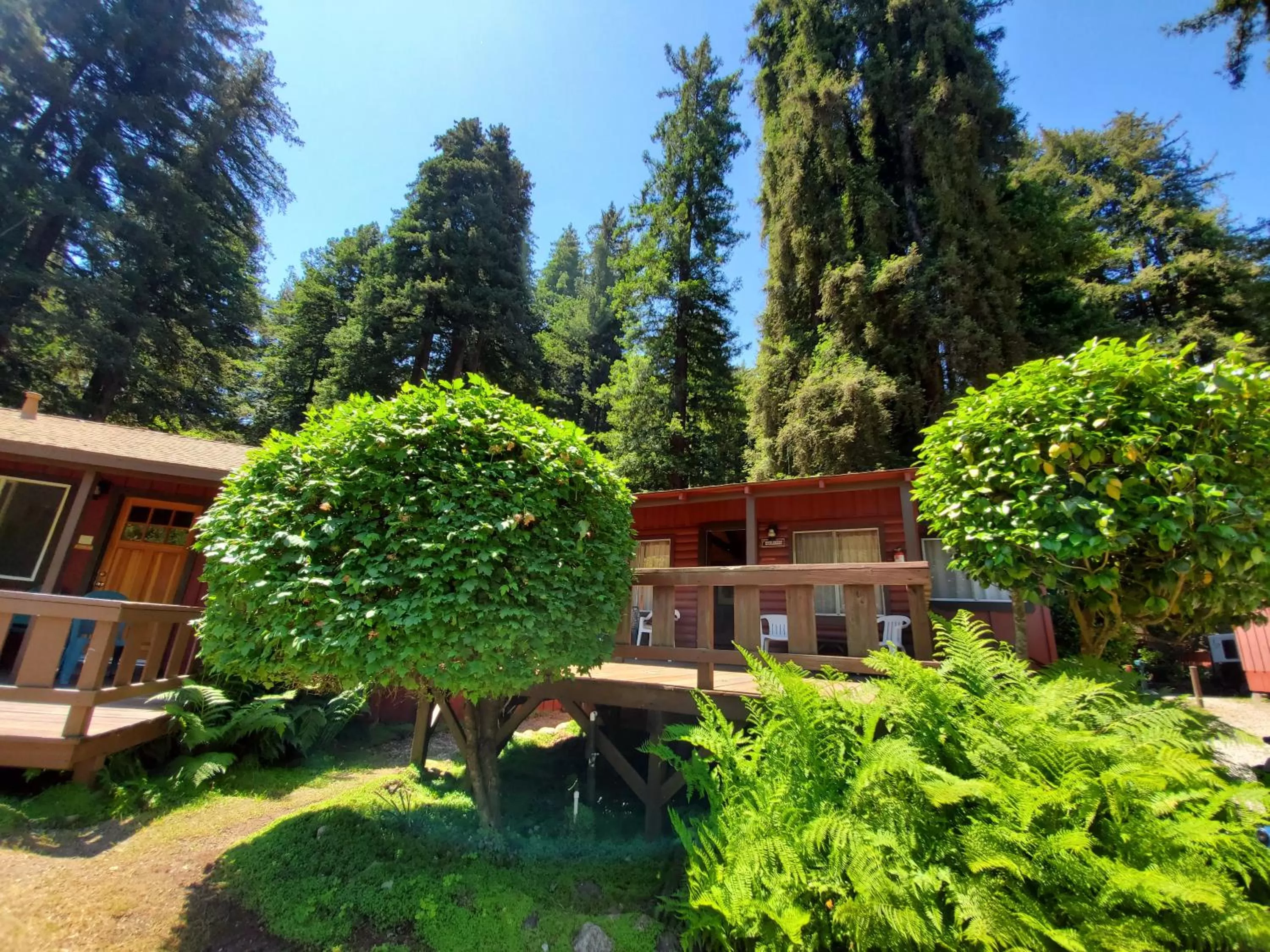 Property Building in Fern River Resort