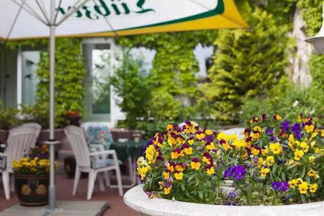 Balcony/Terrace in Sporthotel Malchow Hotel Garni HP ist möglich