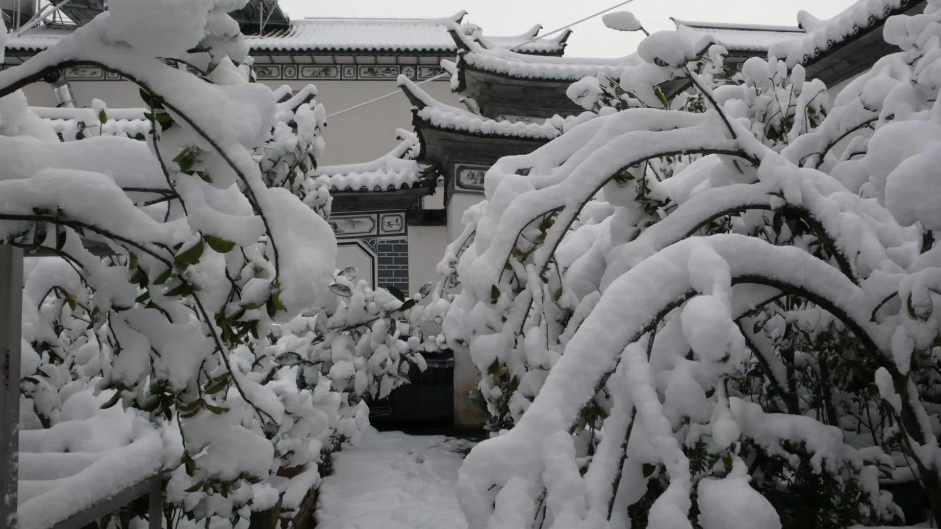 Winter in The Lily Pad Inn