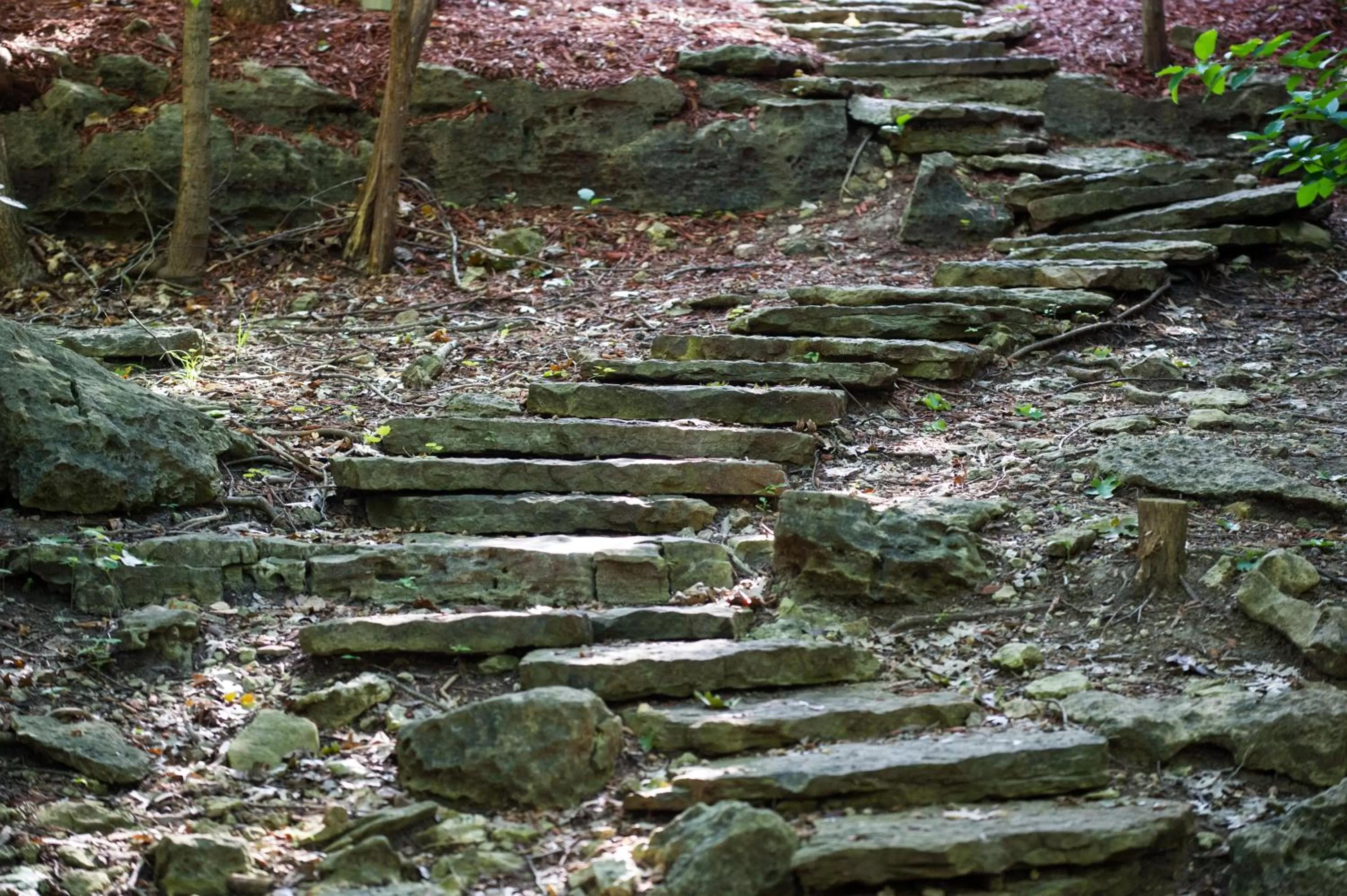 Area and facilities in Cabins at Green Mountain, Trademark Collection by Wyndham