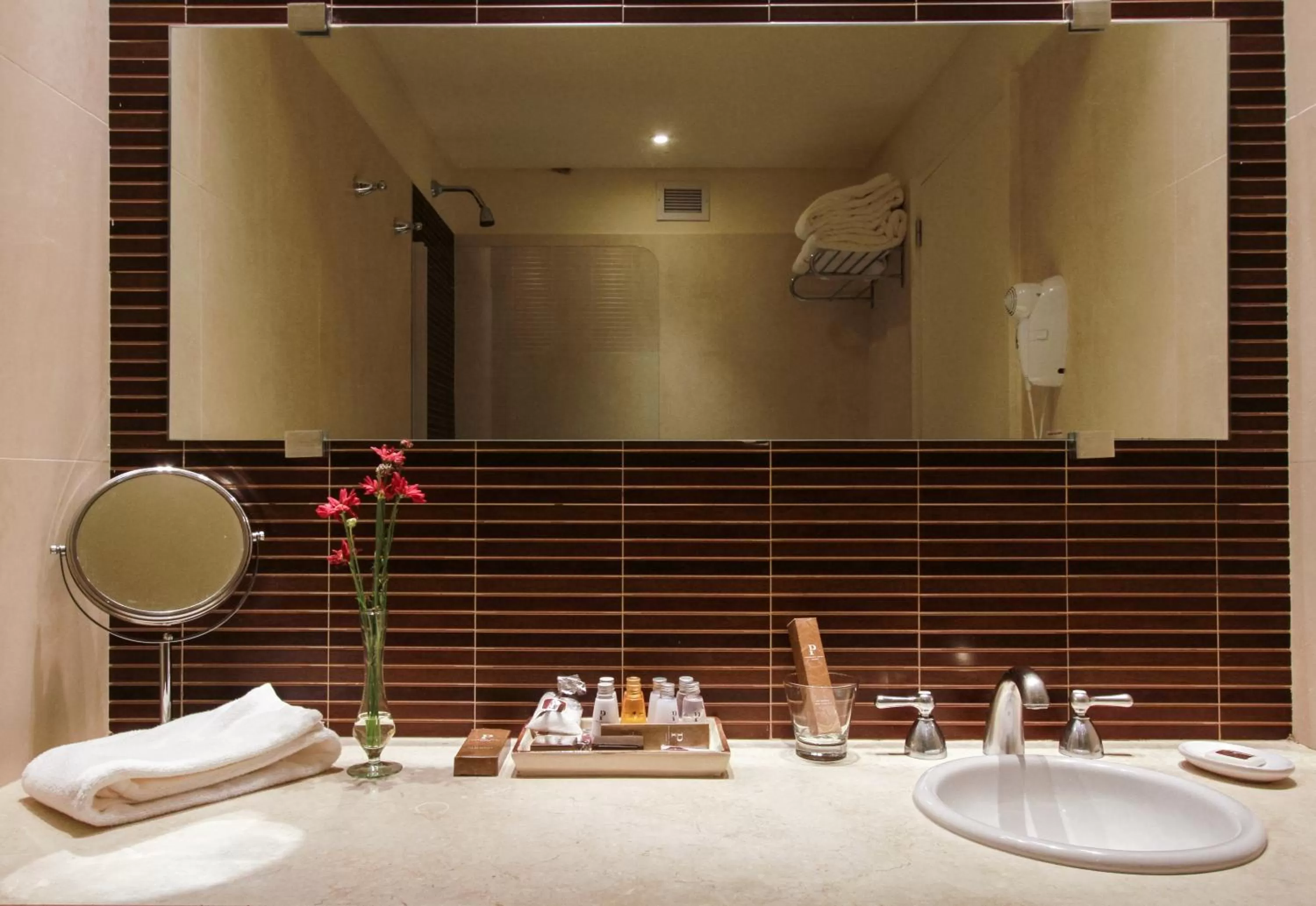 Bathroom in Panoramic Grand - Iguazú