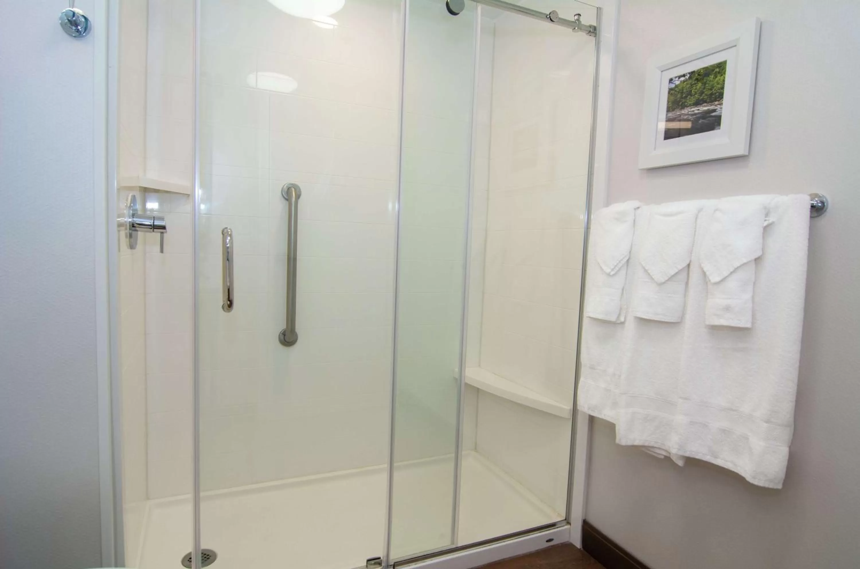 Bathroom in Hampton Inn Summersville