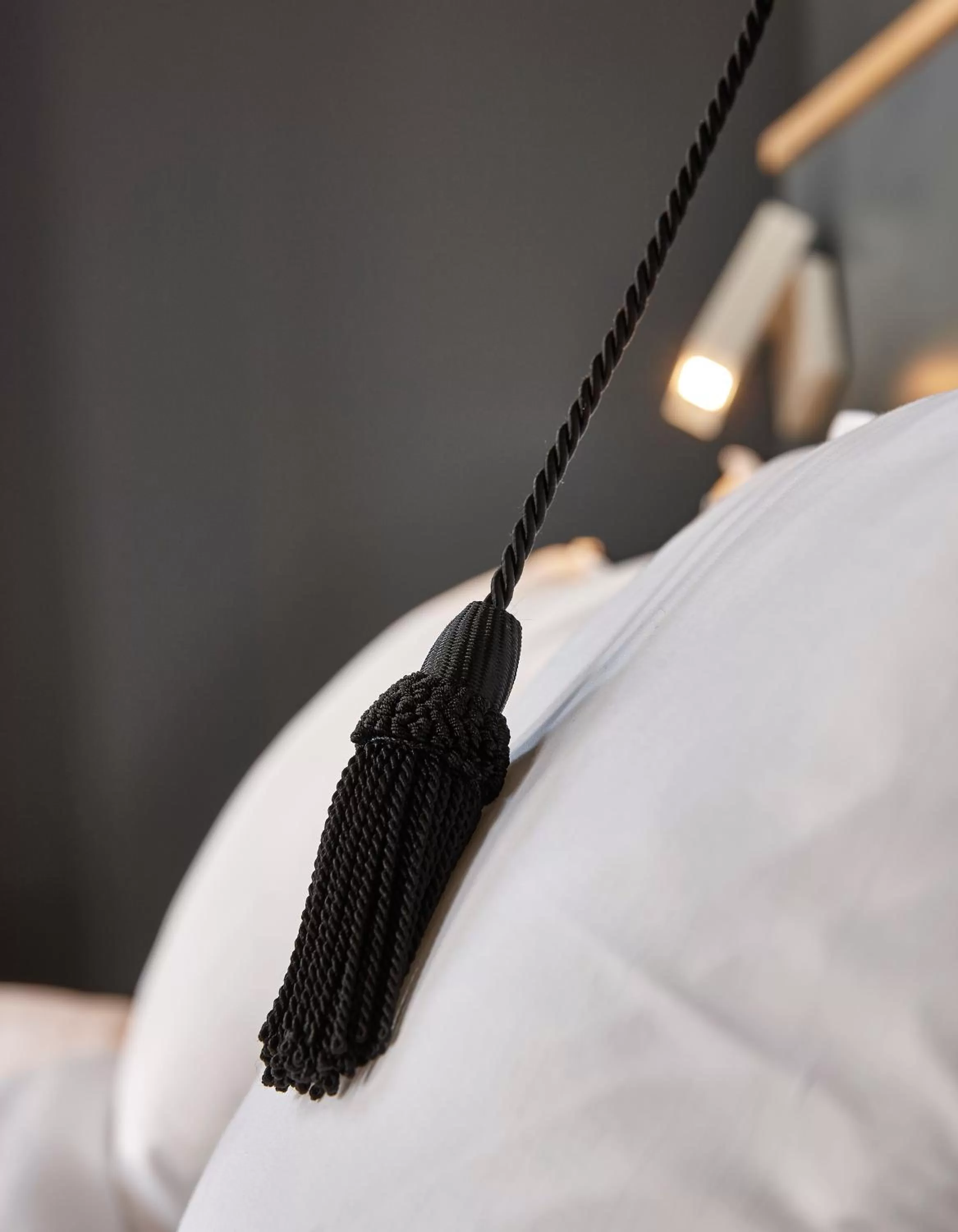 Decorative detail, Bed in Hotel Monsieur Ernest