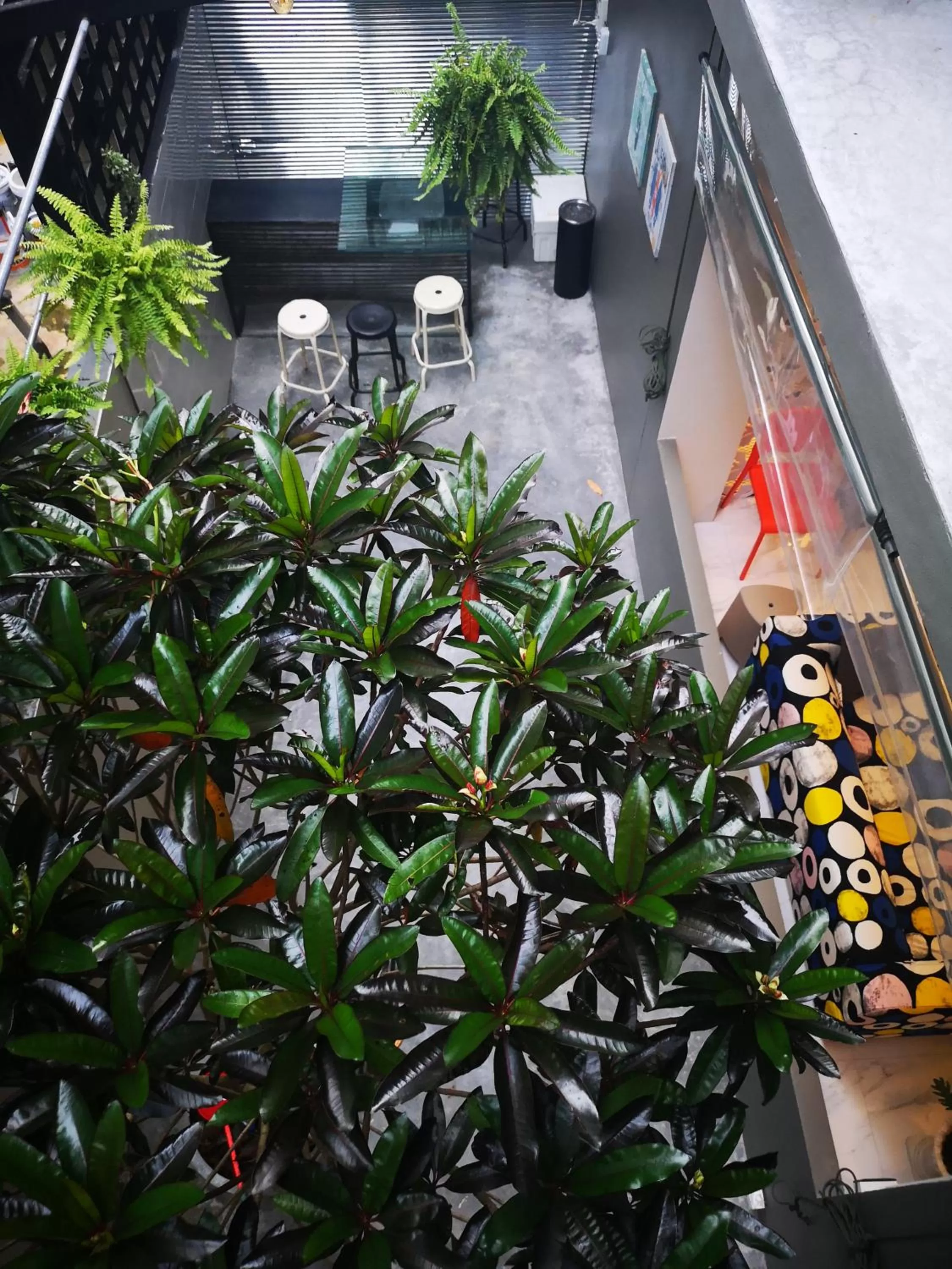 Get GuestHouse 2 ( Sangsri soi 4)