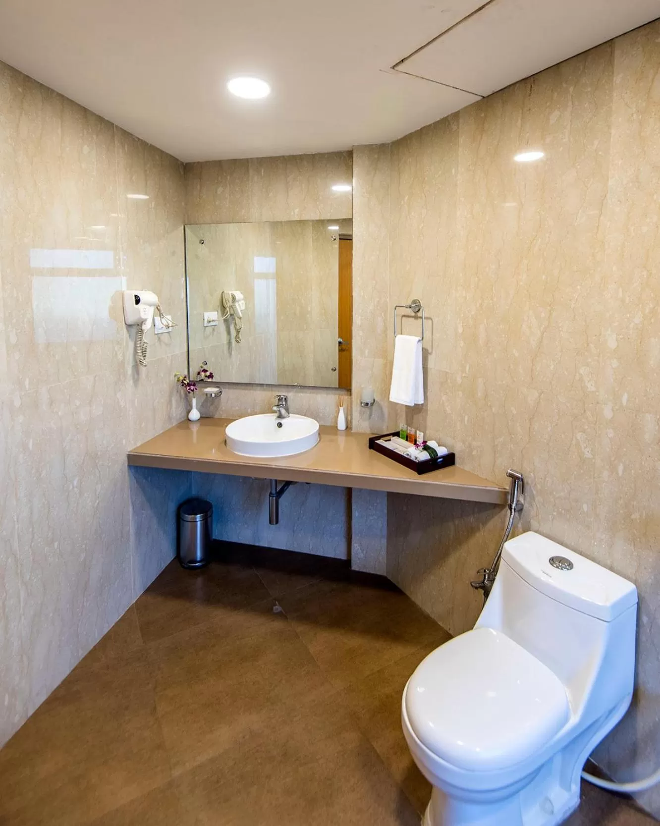 Toilet in Hotel Phoenix Koregaon Park