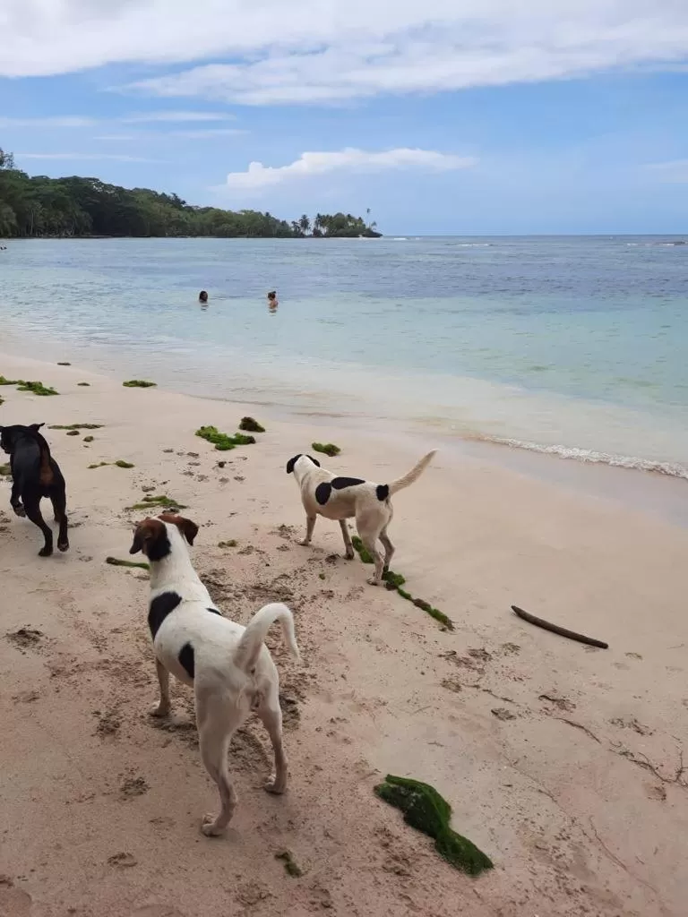 Beach in Casa Acuario Boutique Hotel