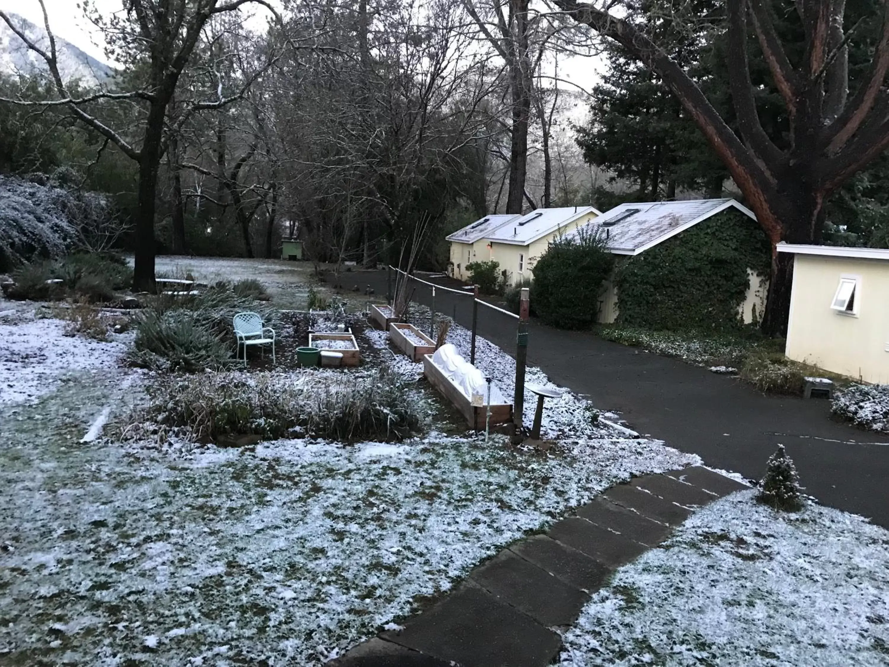 Property building in Backyard Garden Oasis Property building in Backyard Garden Oasis