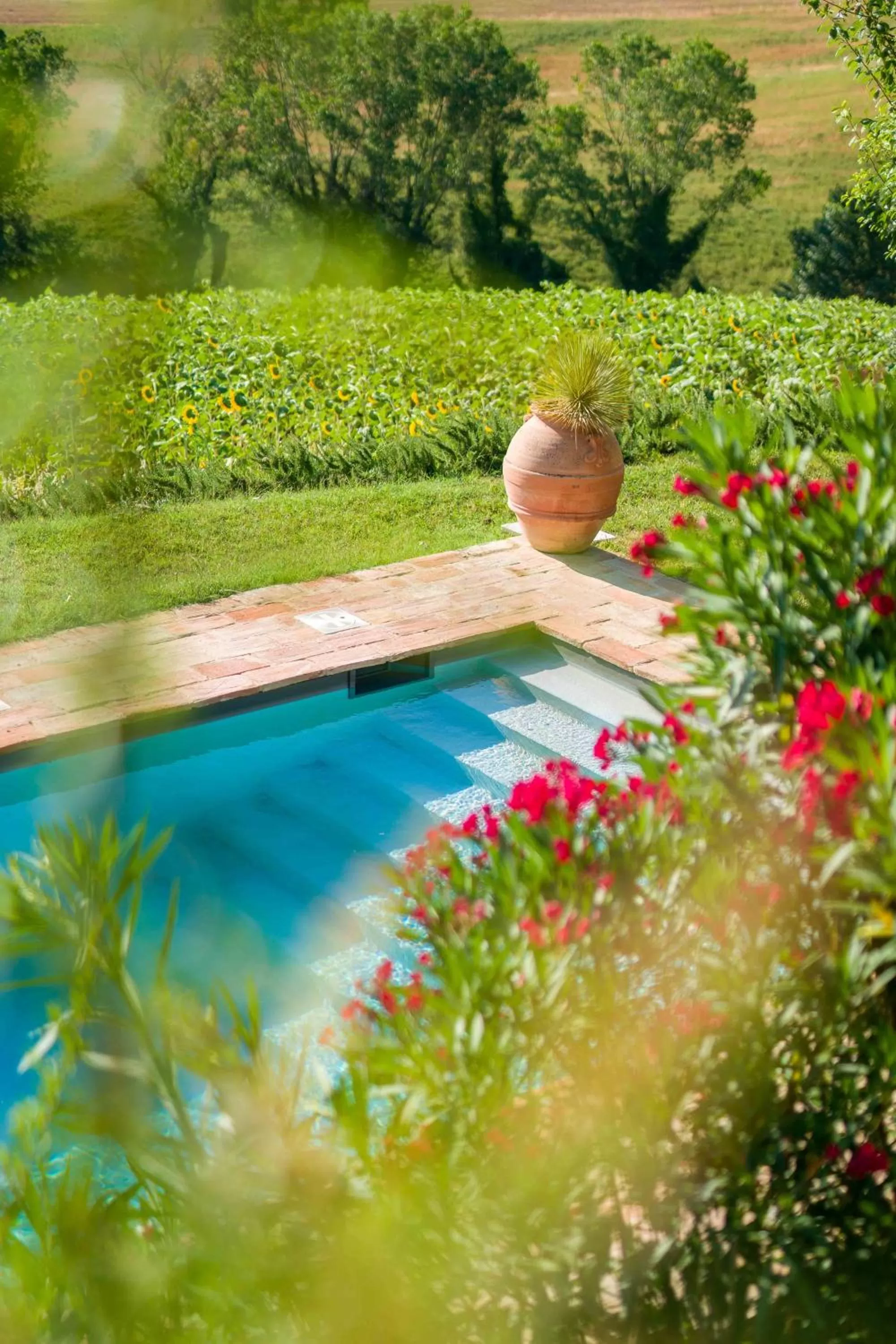 Day in CasaVostra - Ambience Suites