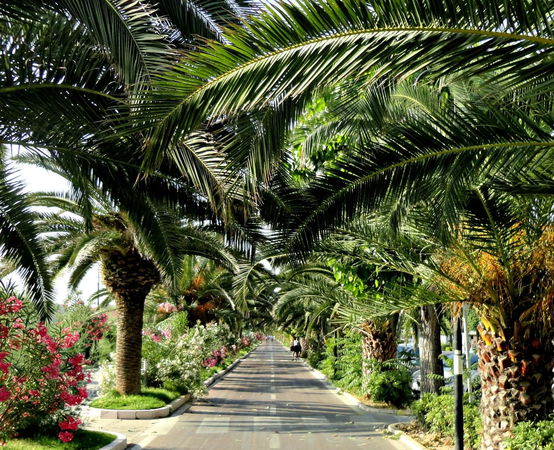 Area and facilities in Aurea Hotel