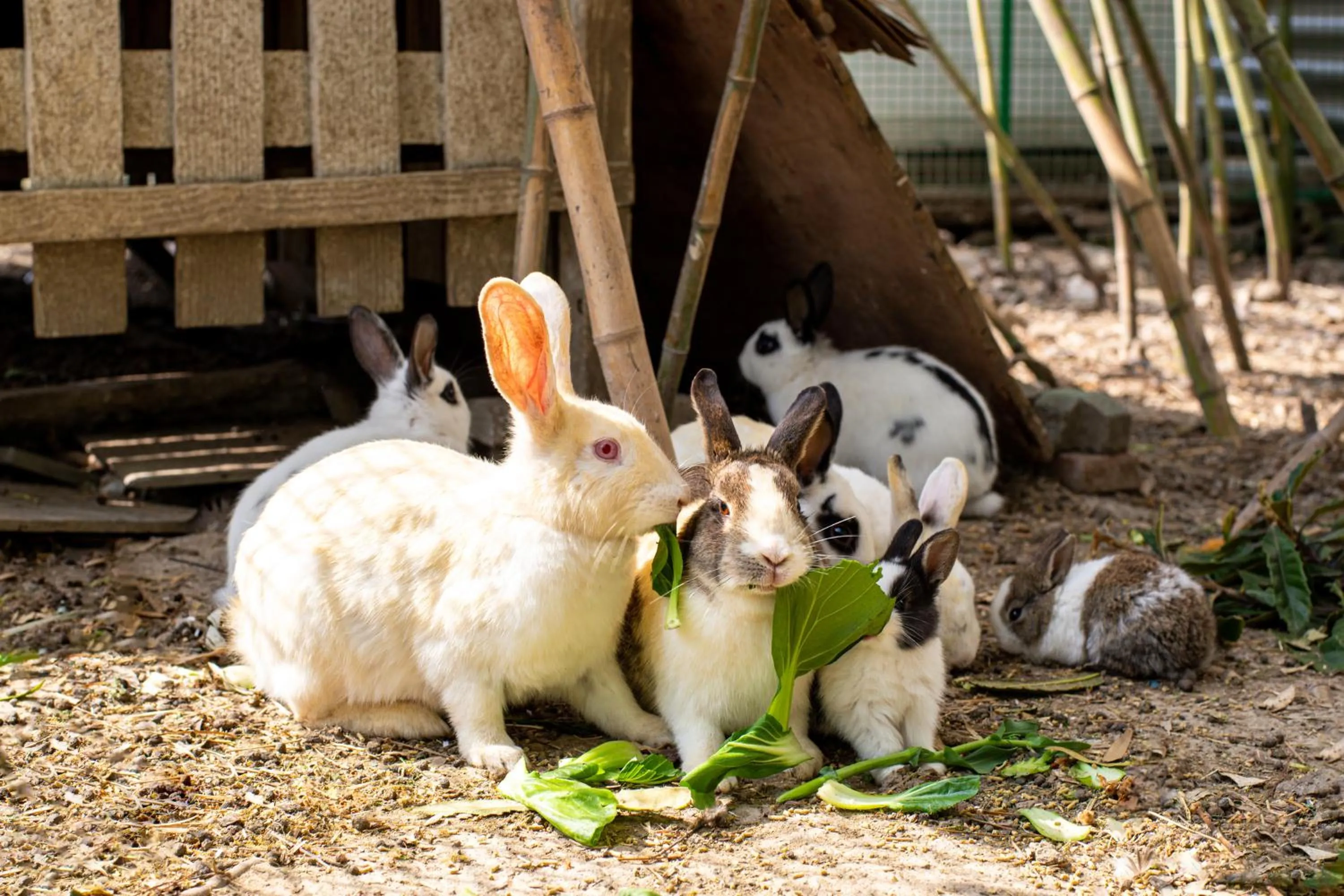 young children in Crowne Plaza Shanghai Xiayang Lake by IHG