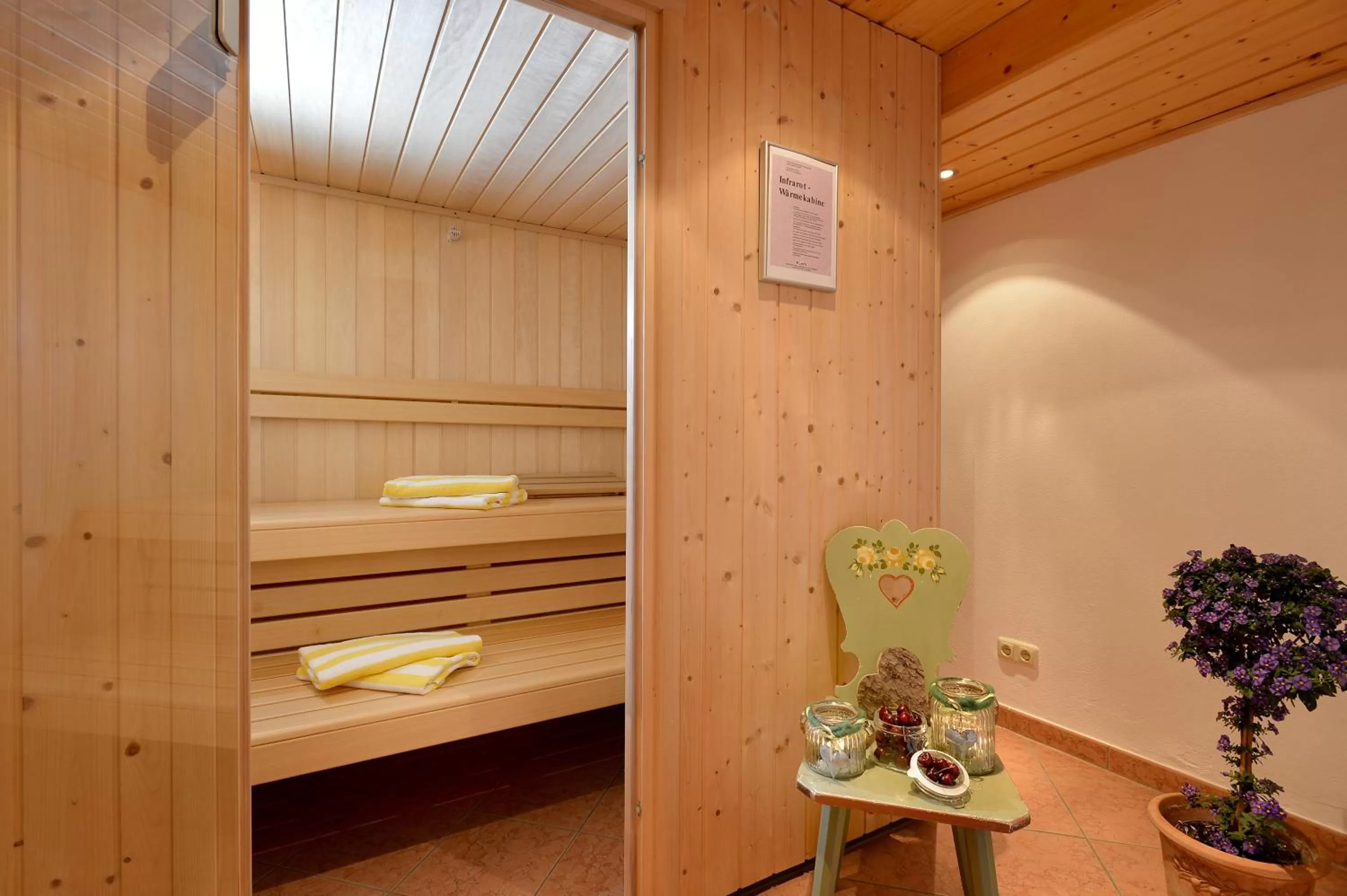Sauna in Hotel Theresia Garni