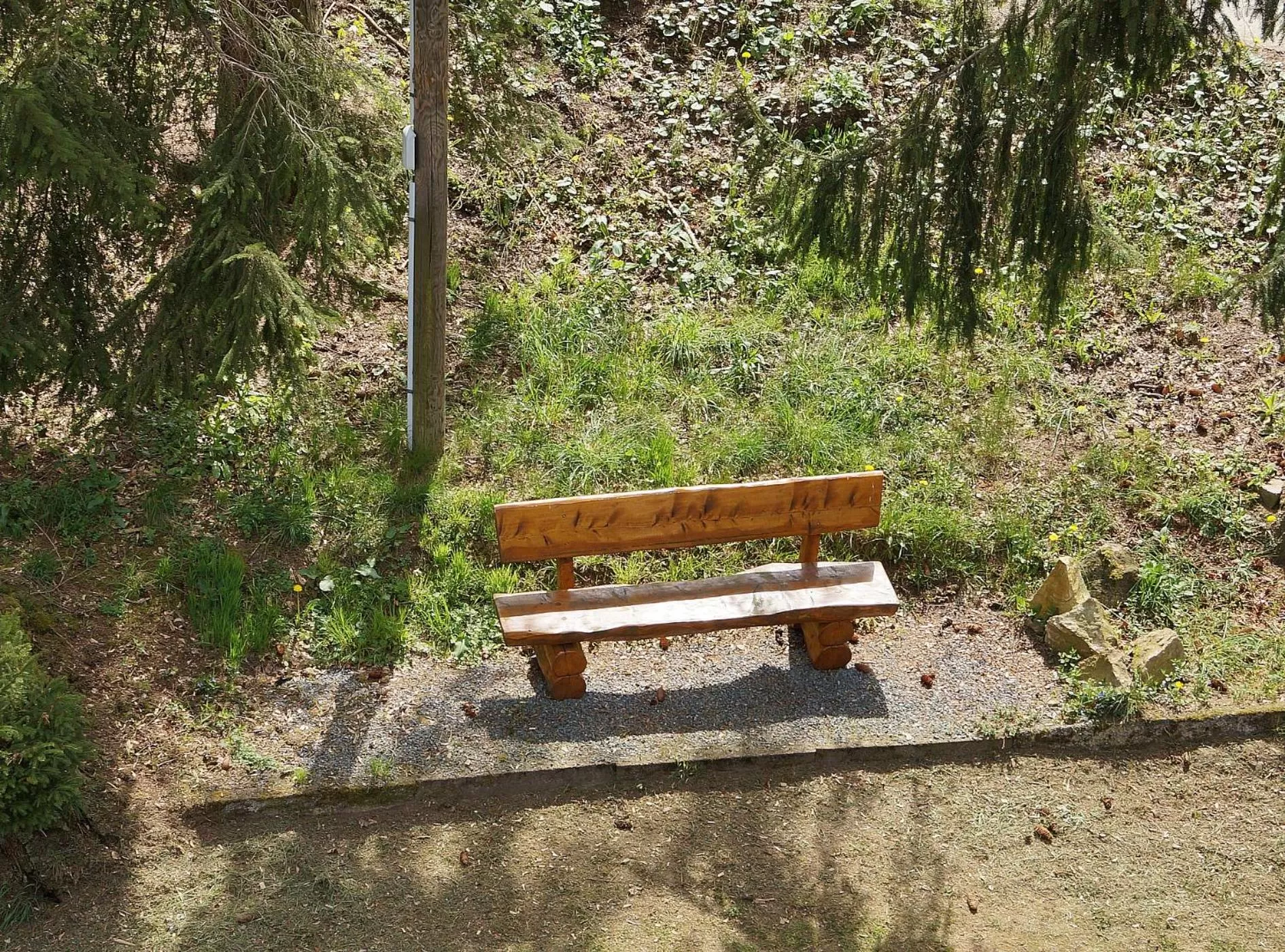 Natural landscape in Erzgebirgshotel Misnia Bärenfels