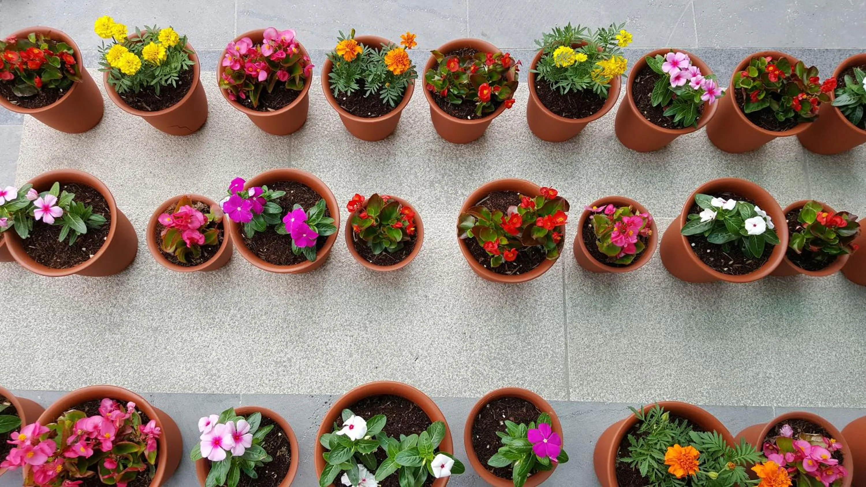 Facade/entrance in Trip to Gyeongju