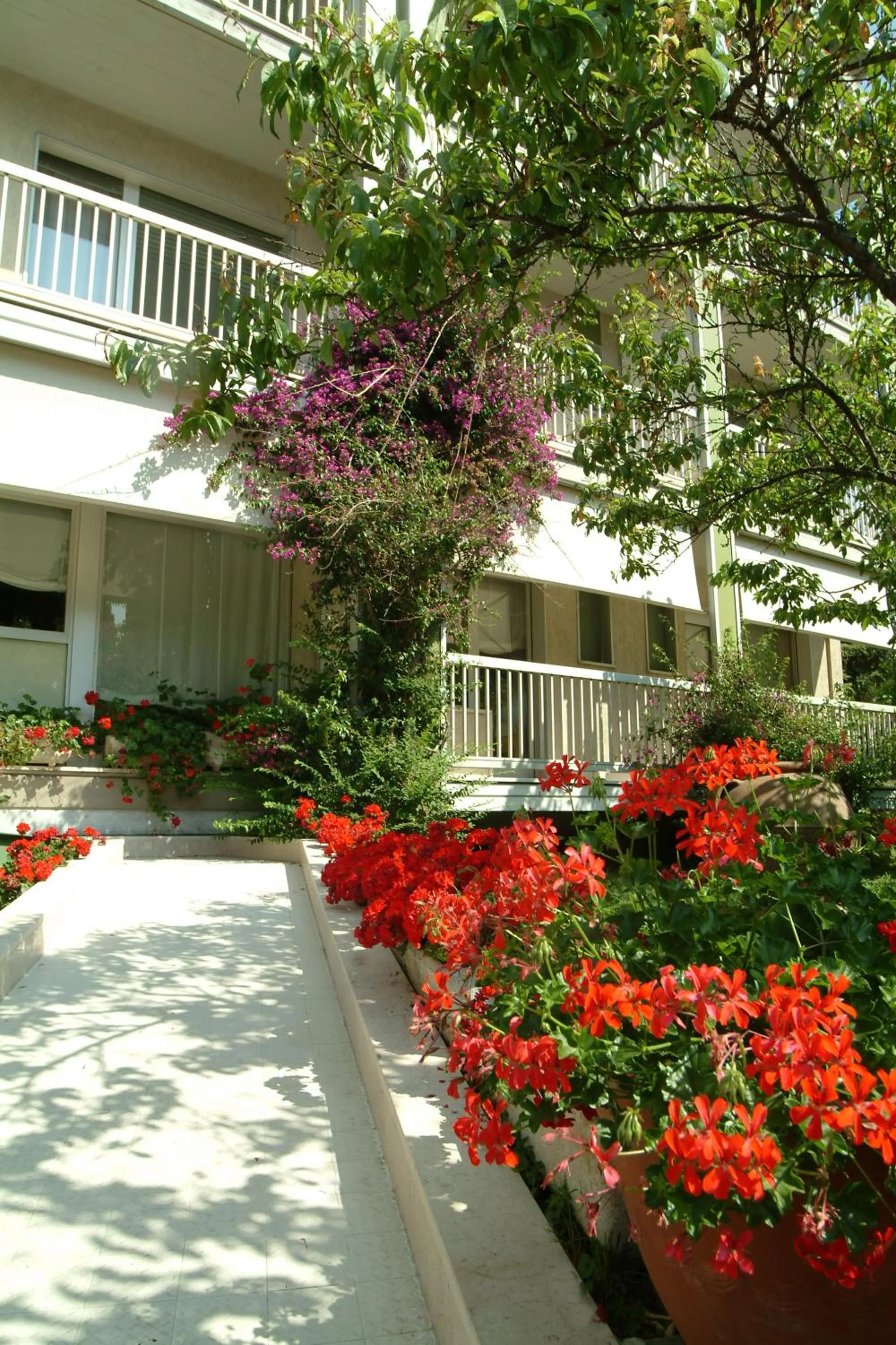 Garden in Hotel Ghironi