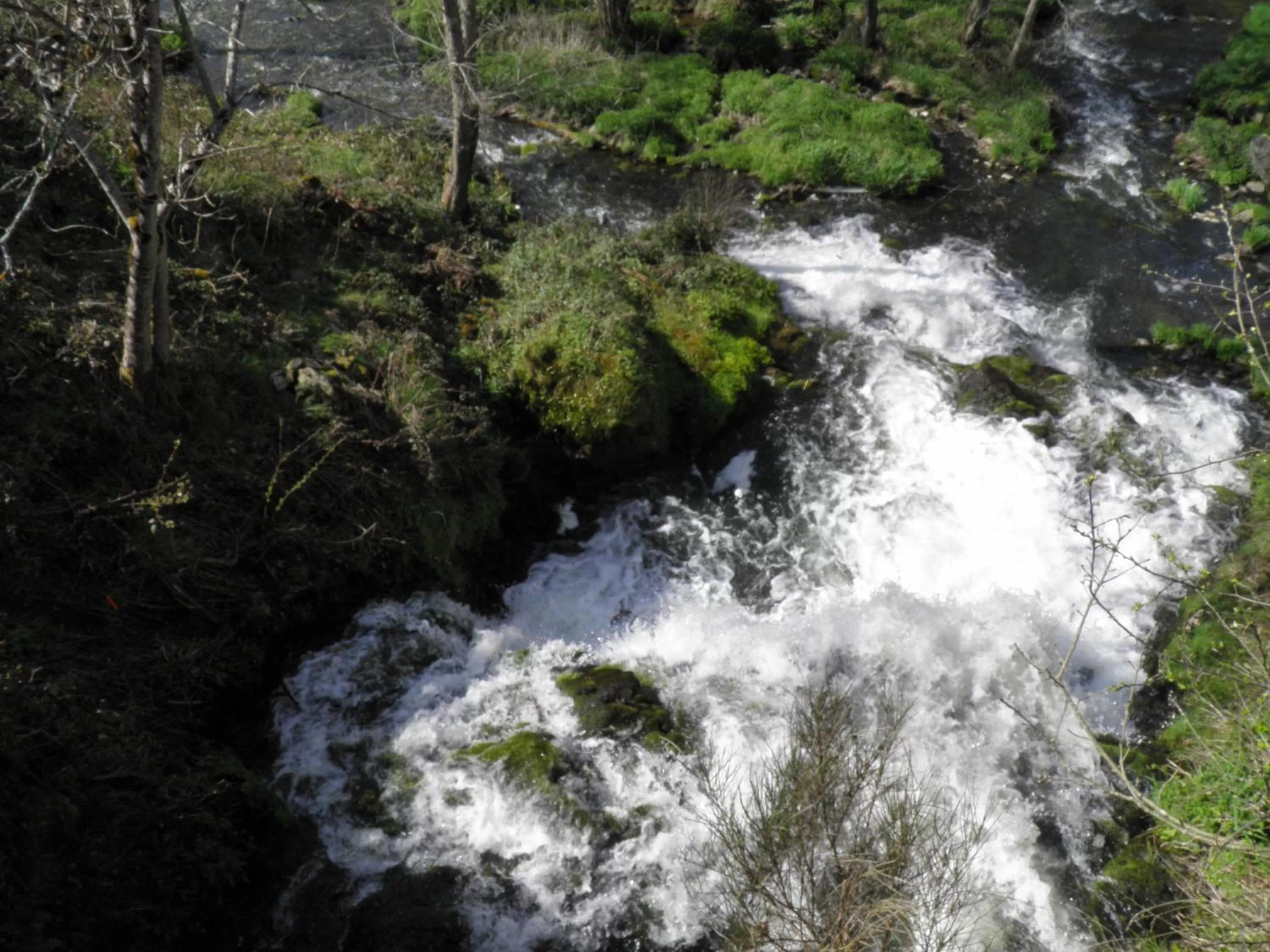 Area and facilities in Apparthotel Privilodges Carré de Jaude