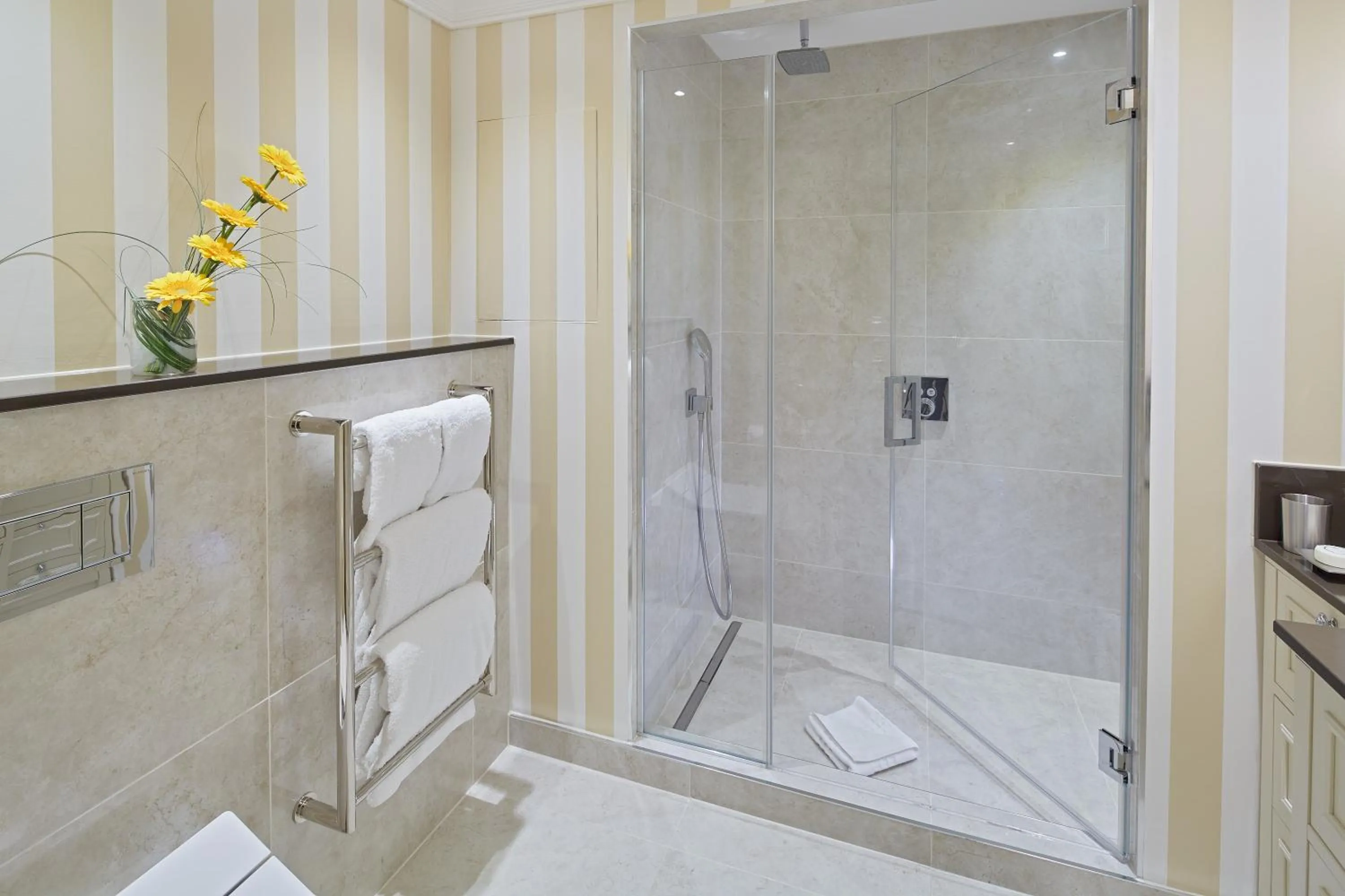 Shower in Cheval Thorney Court at Hyde Park
