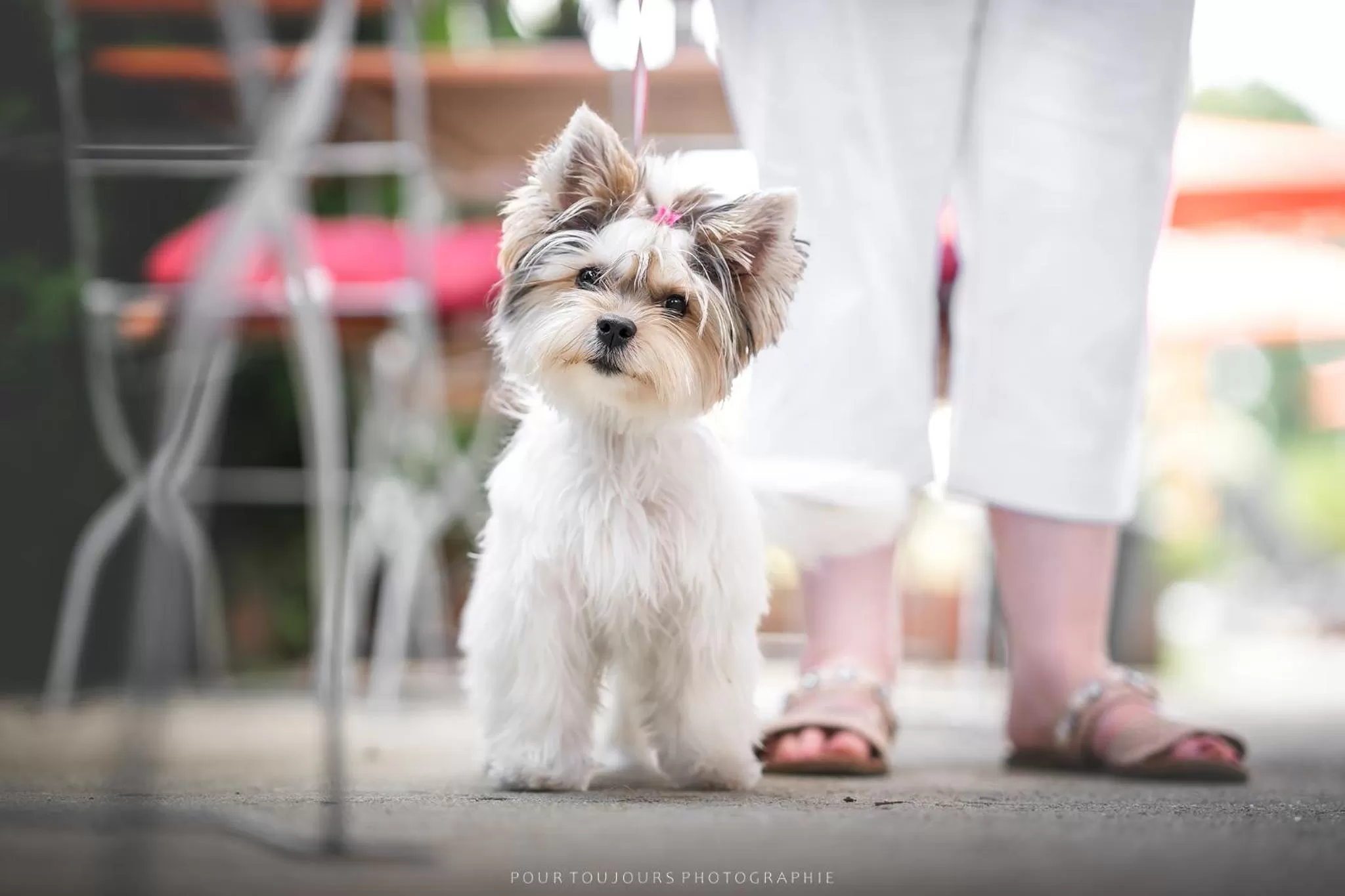 Berghotel Steiger - Erzgebirge