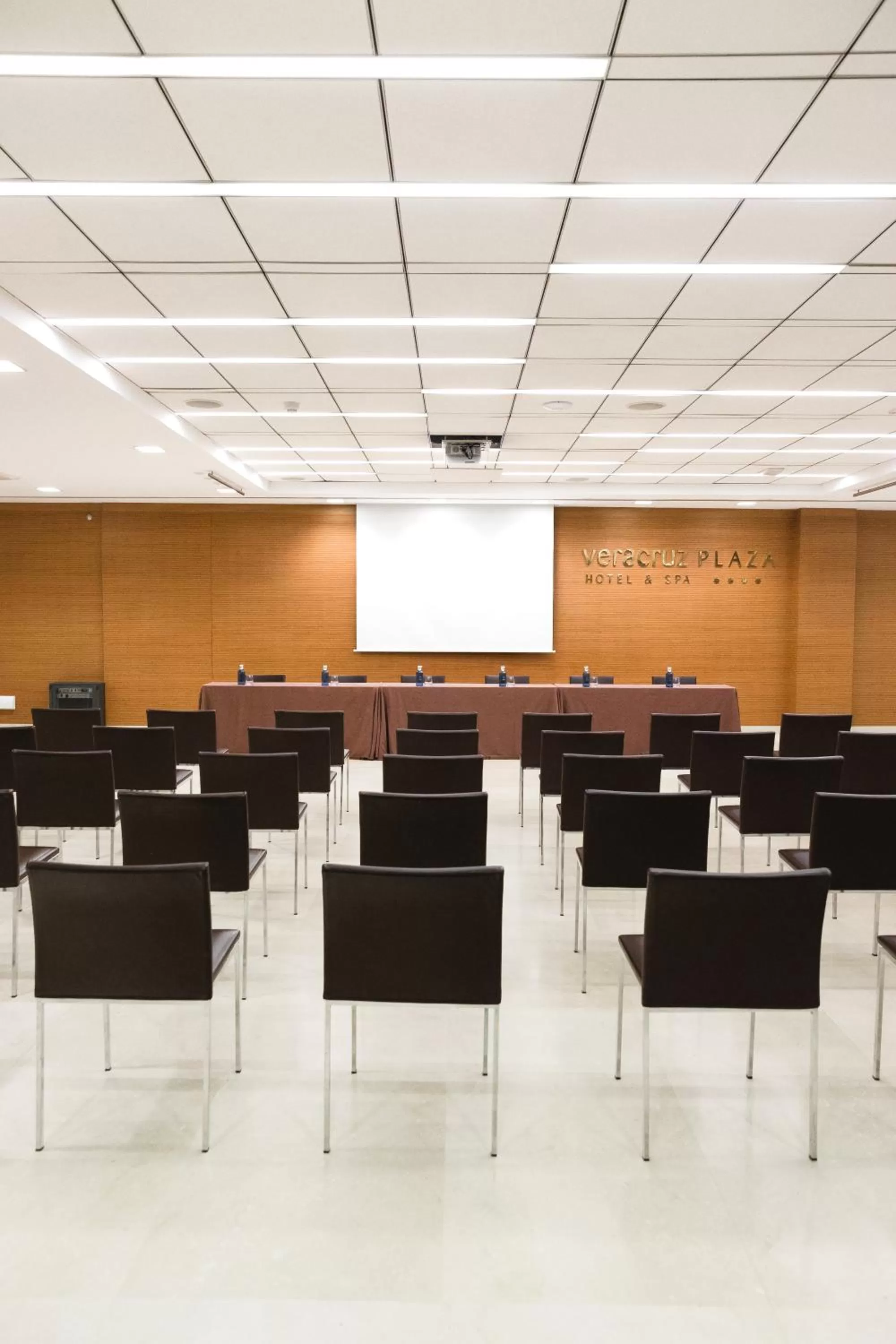 Business facilities in Hotel Veracruz Plaza & Spa