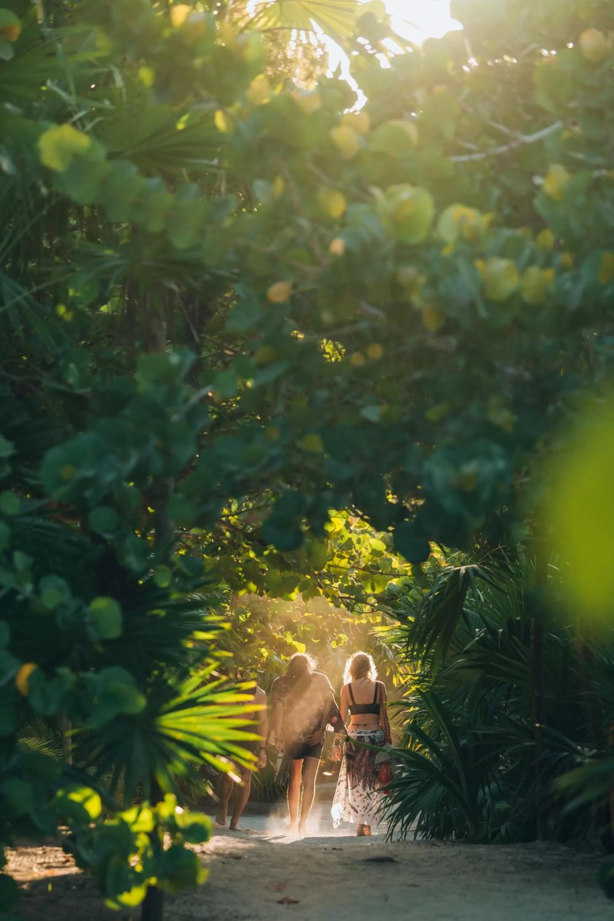 Garden in Ikal Tulum Hotel