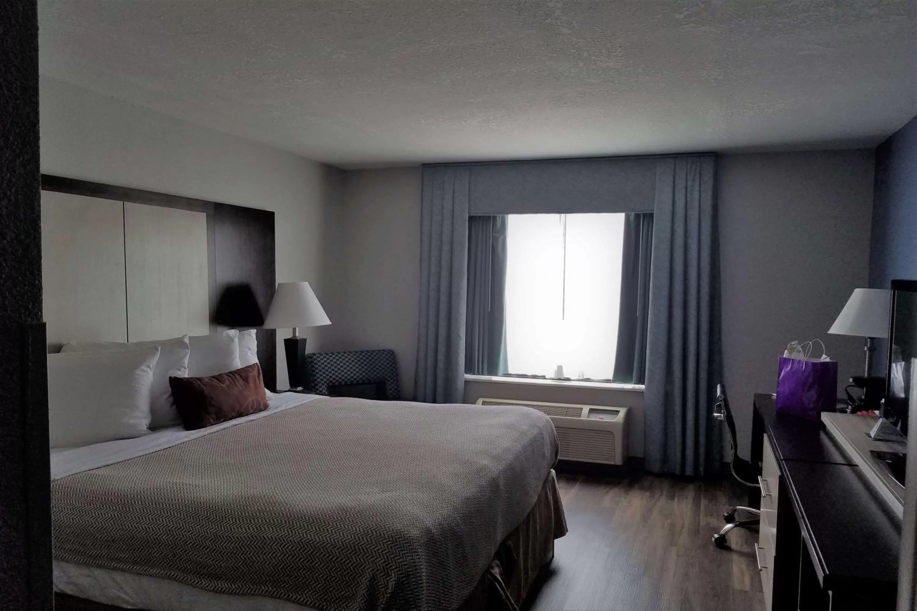 Photo of the whole room, Bed in Wyndham Garden Hotel - Jacksonville