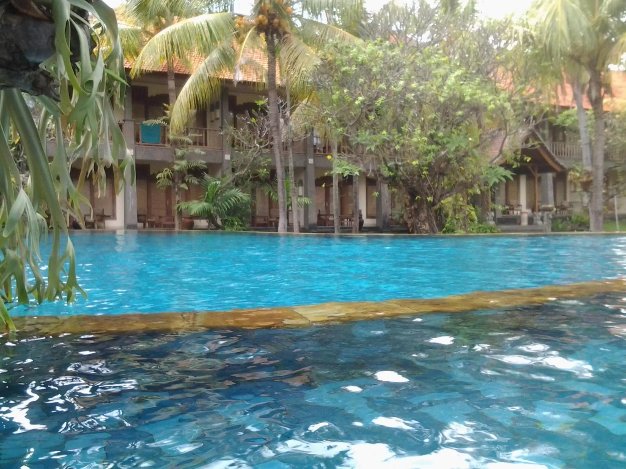 Swimming Pool in Nirwana Sea Side Cottages