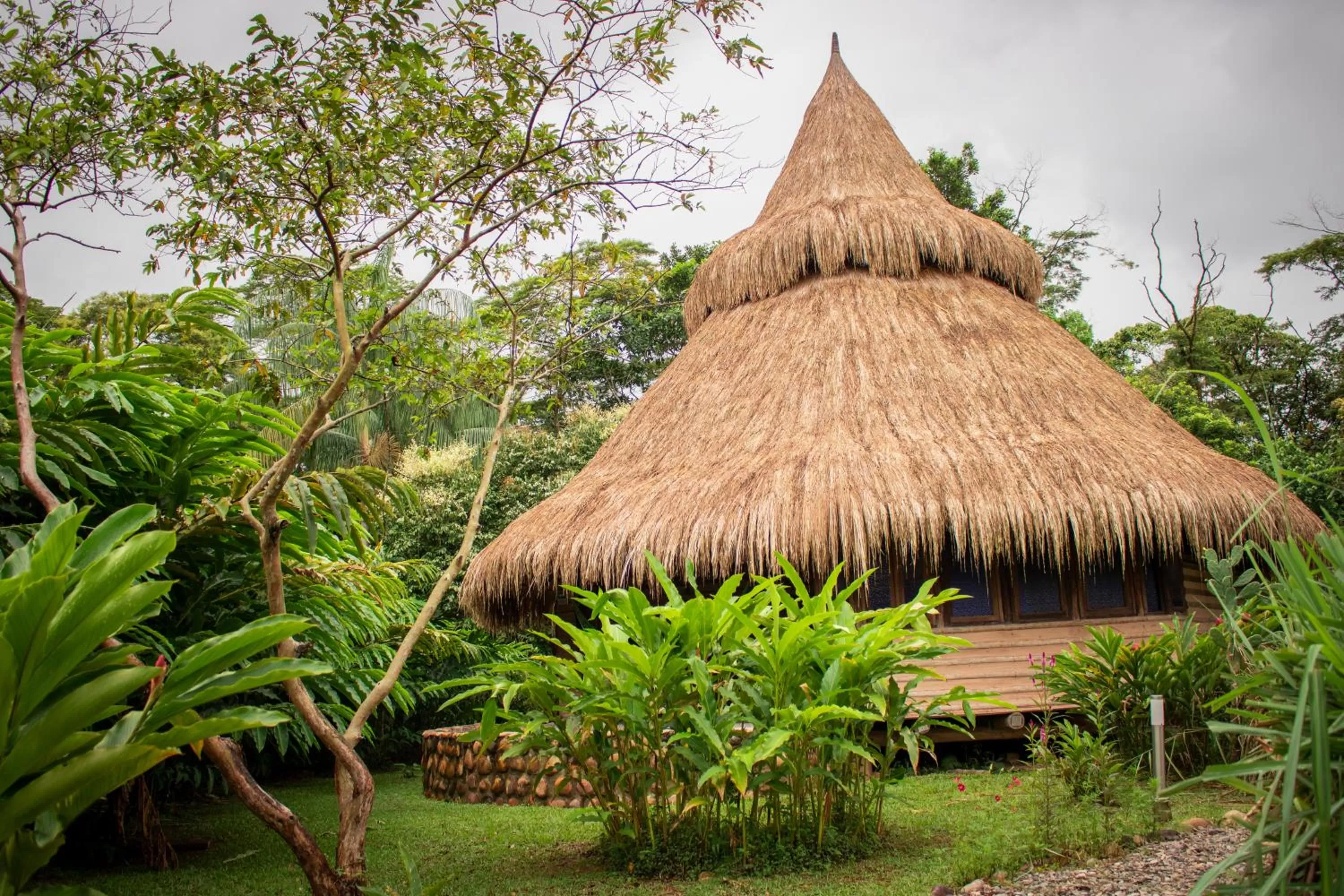 Garden view in Ecolodge Cosmogénesis