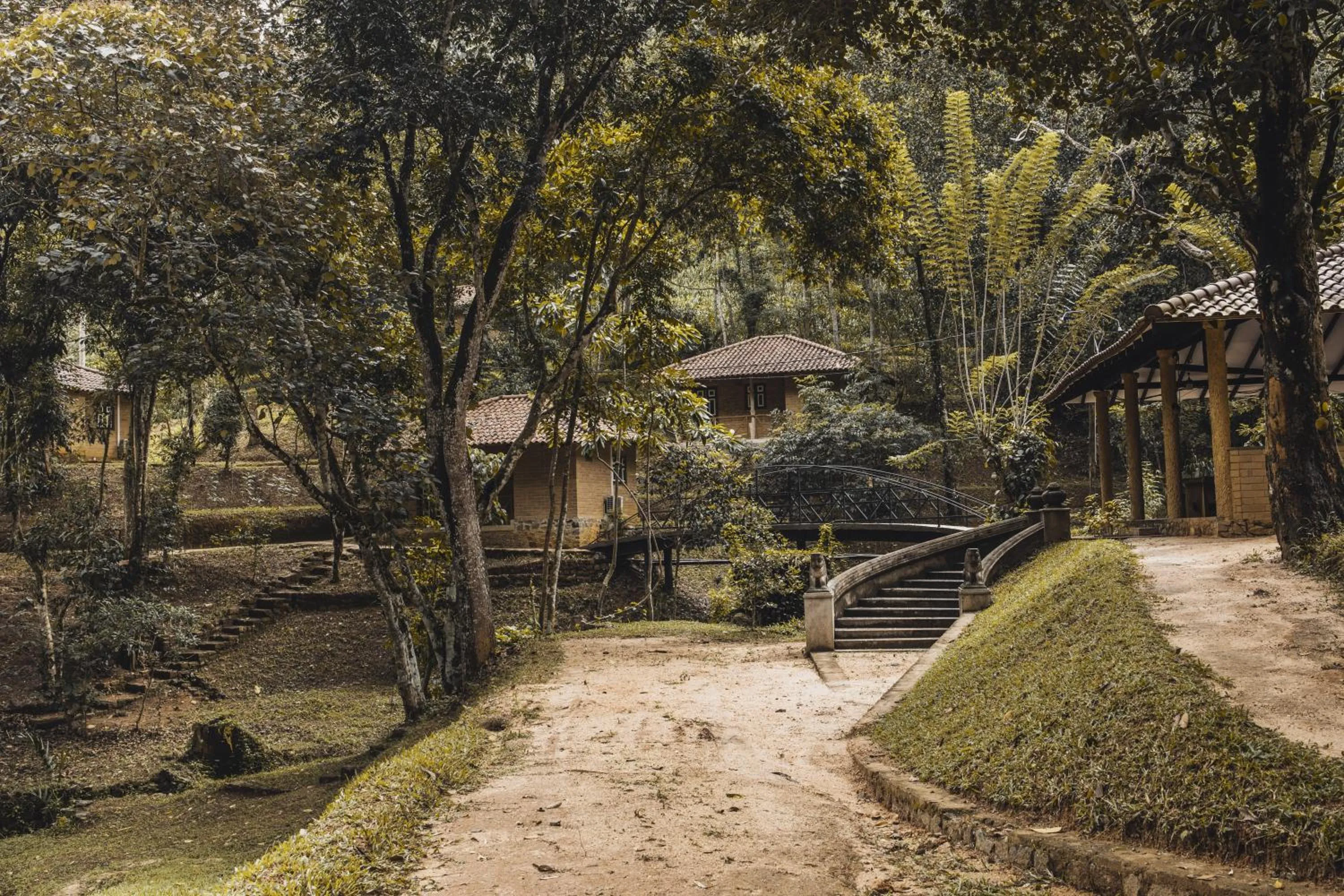 Property building in Tree of Life Nature Resort