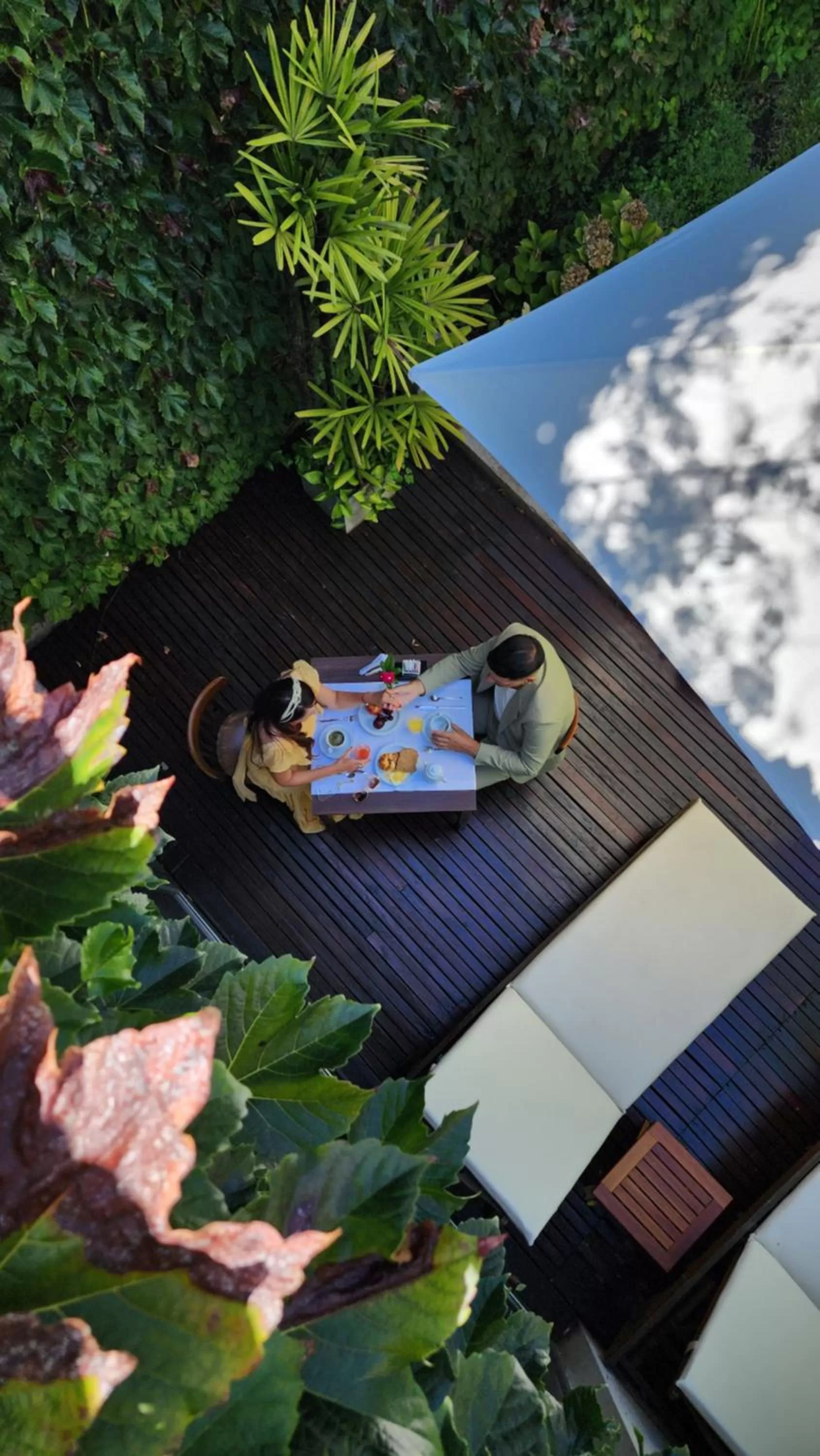 Garden view in 248 Finisterra