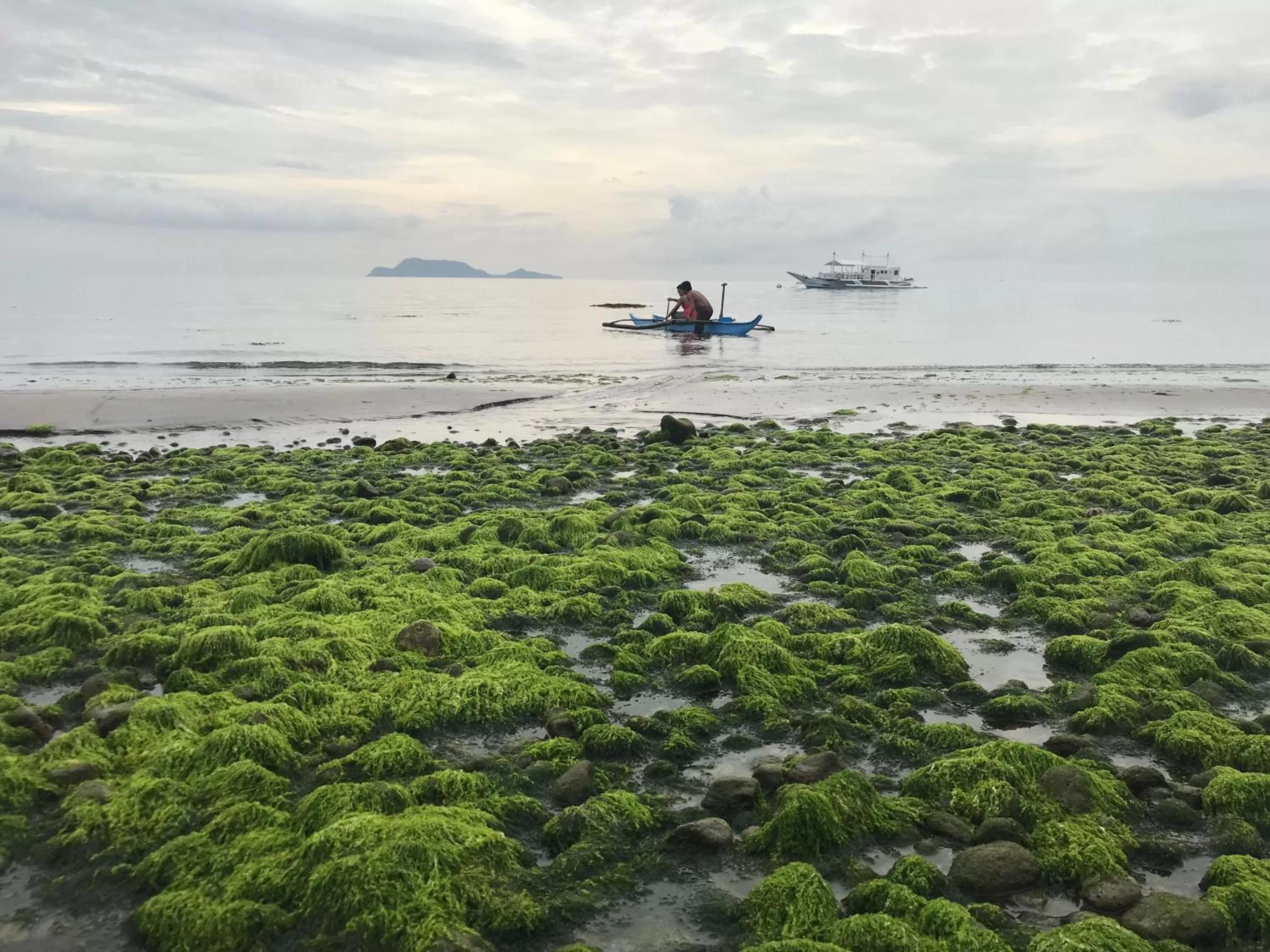 Beach in Mahi Mahi Dive Resort
