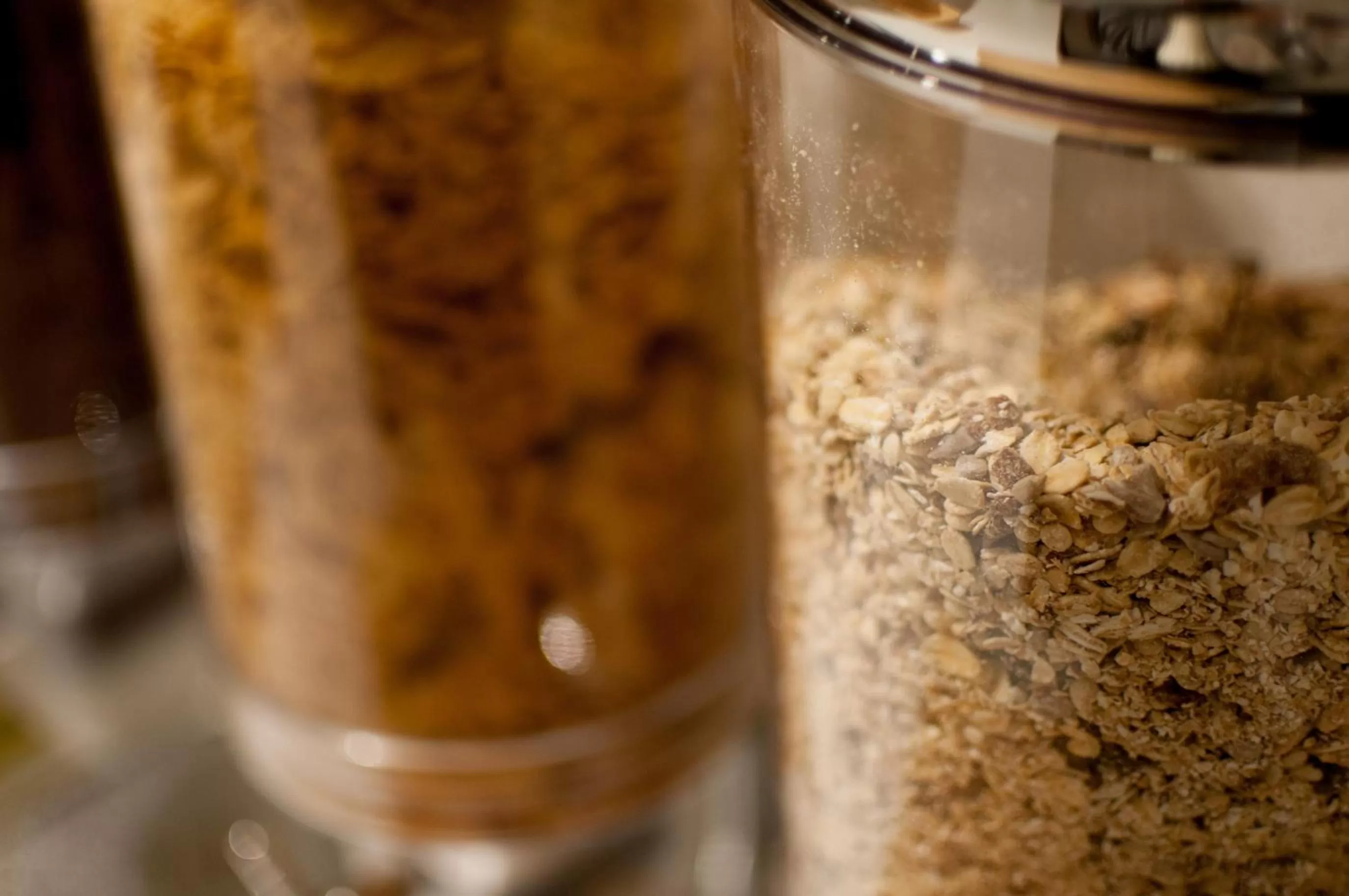 Food in Hotel Fine Harmony