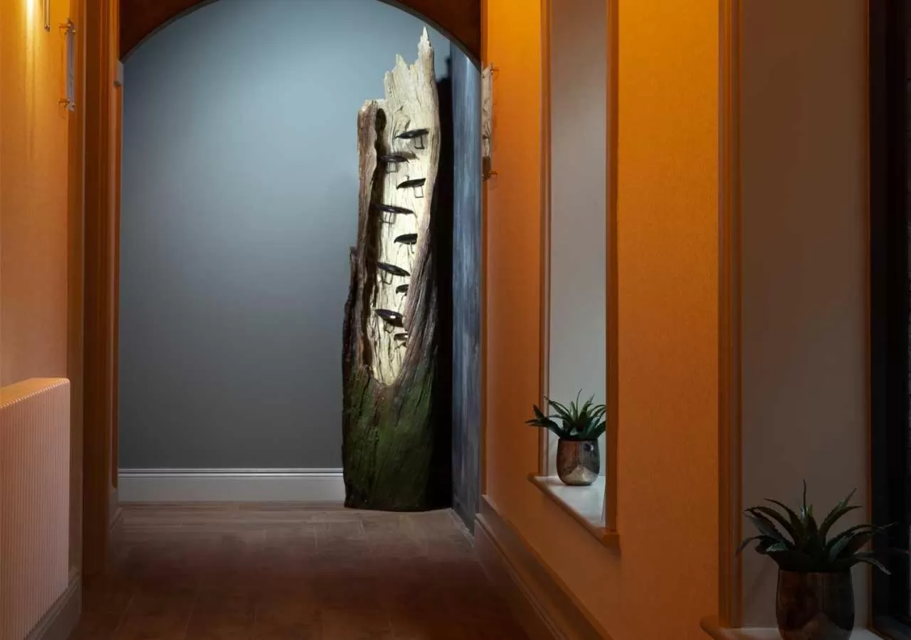 Spa and wellness centre/facilities in Kilkea Castle