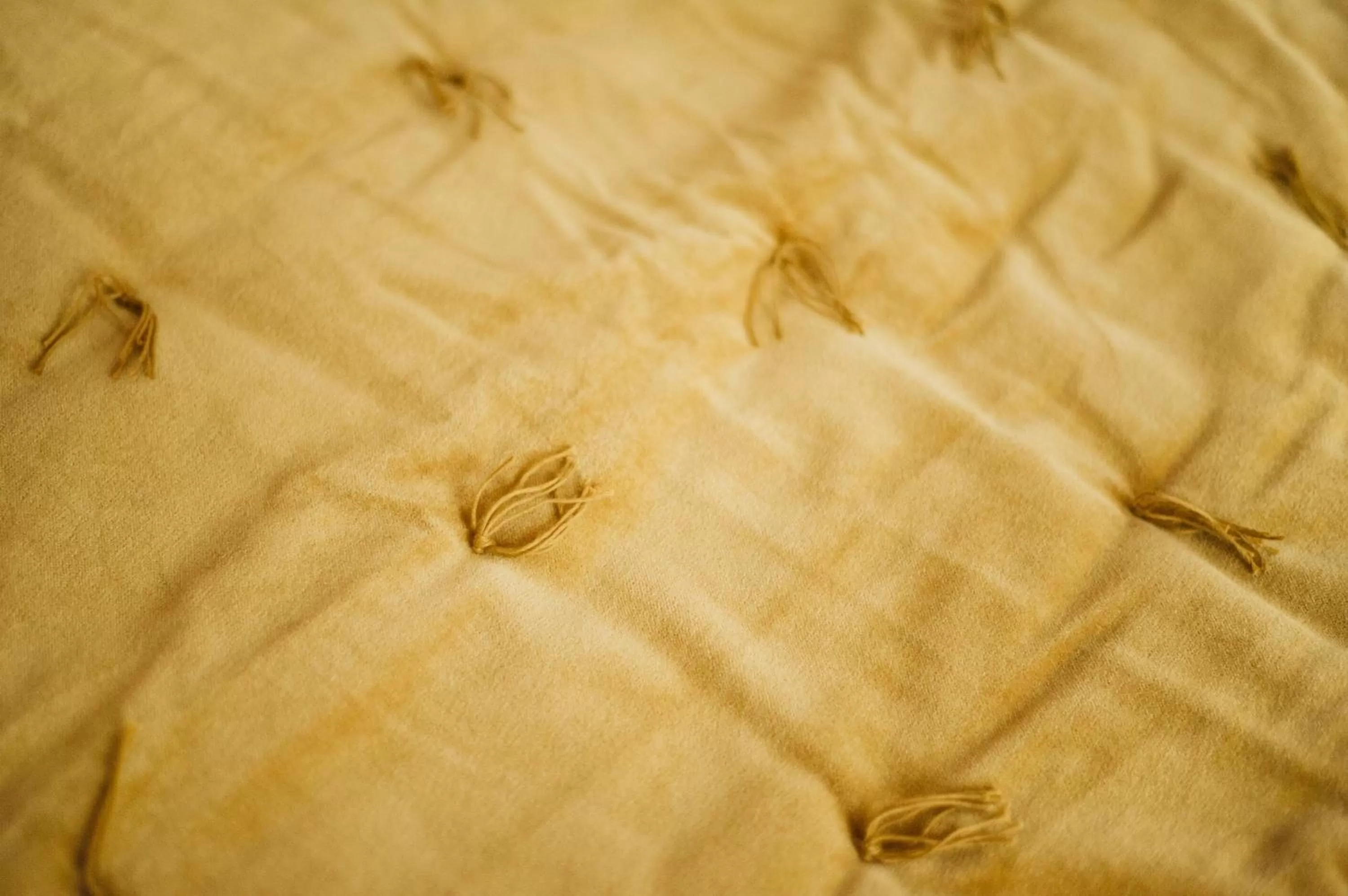 Decorative detail in Hotel de Fouquet - Chambres d'hôtes