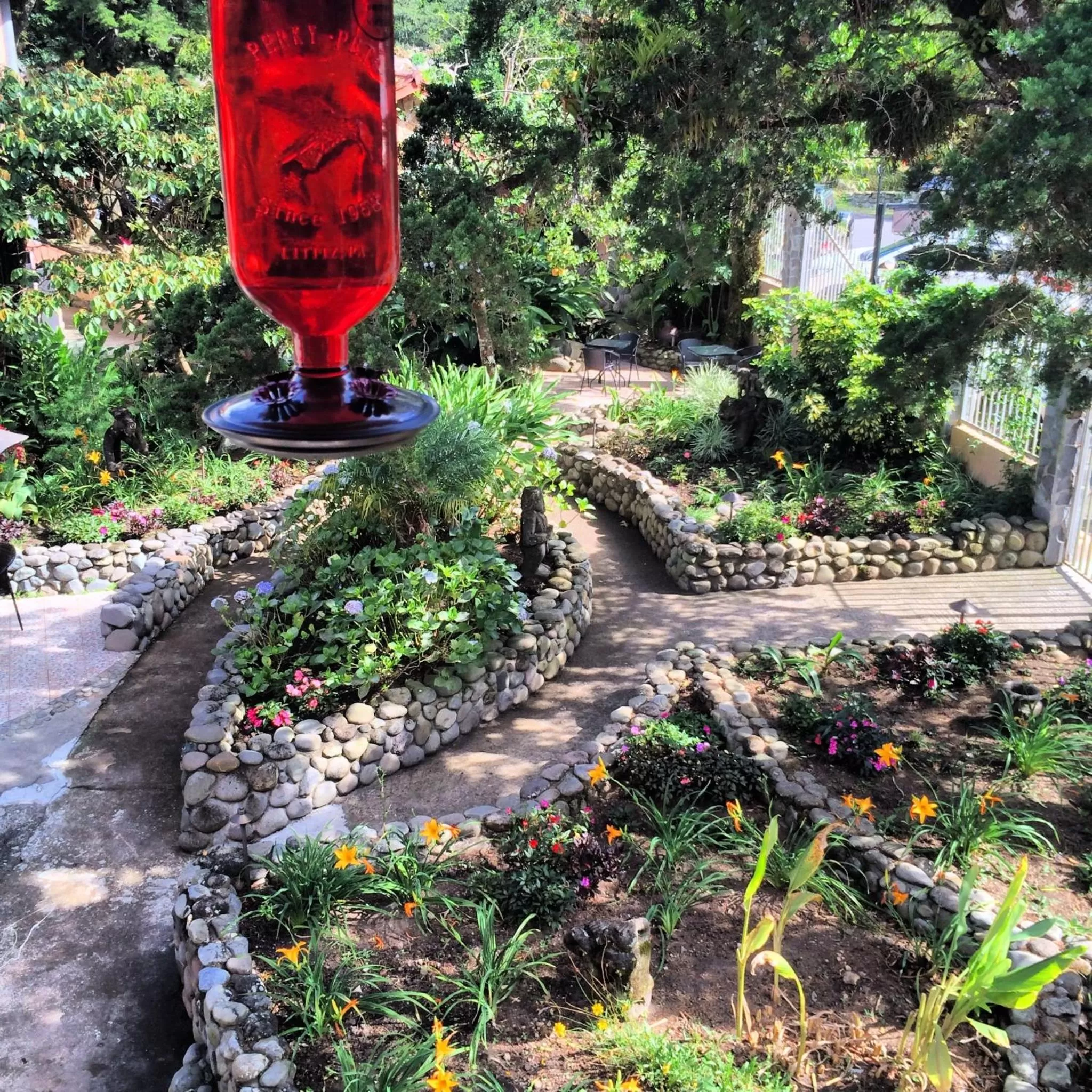 View (from property/room) in The Inn at Palo Alto